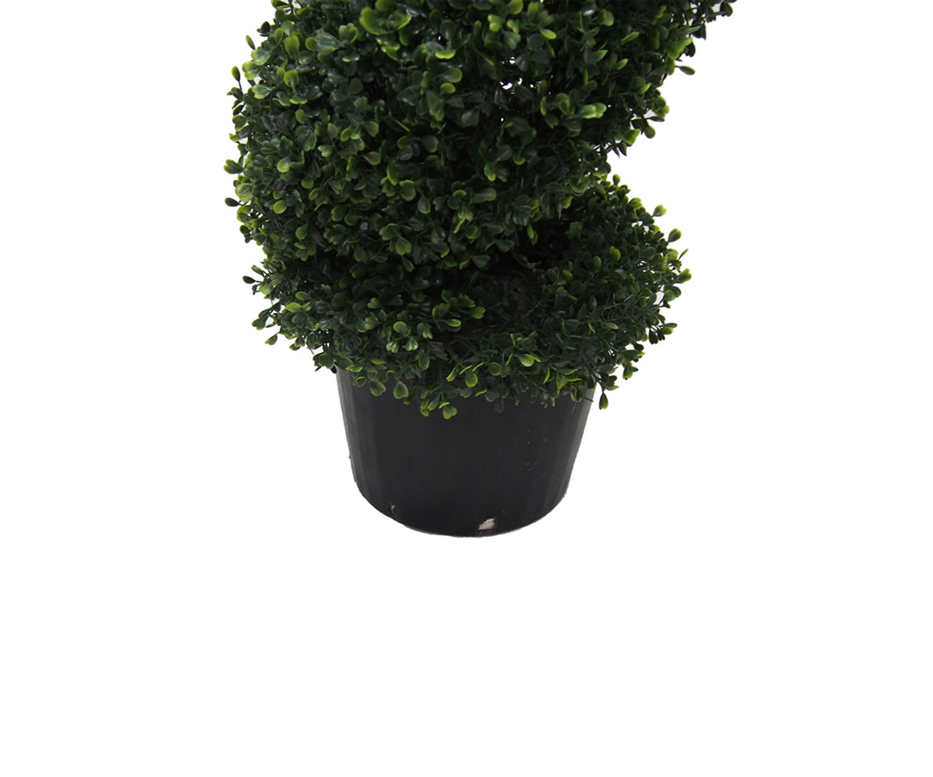 Vickerman 6 Artificial Potted Green Boxwood Spiral Tree.