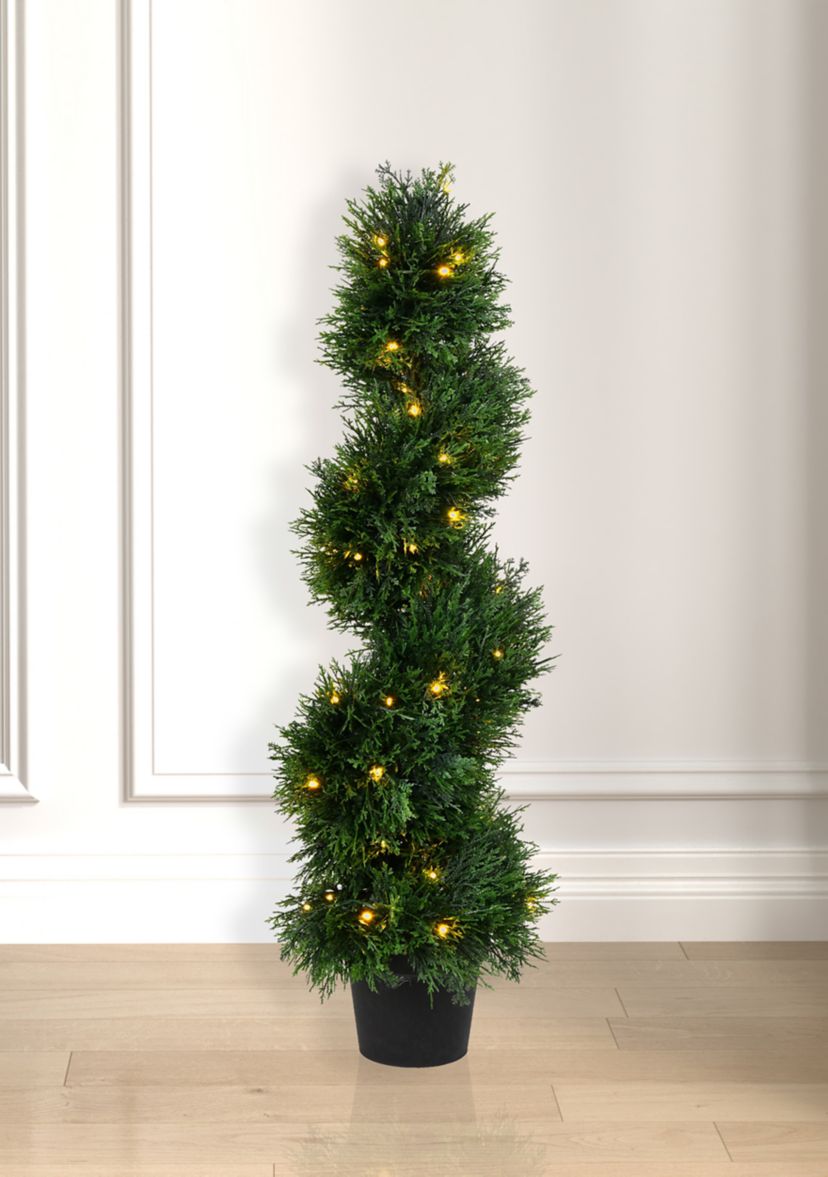 Potted Green Cedar Spiral Tree
