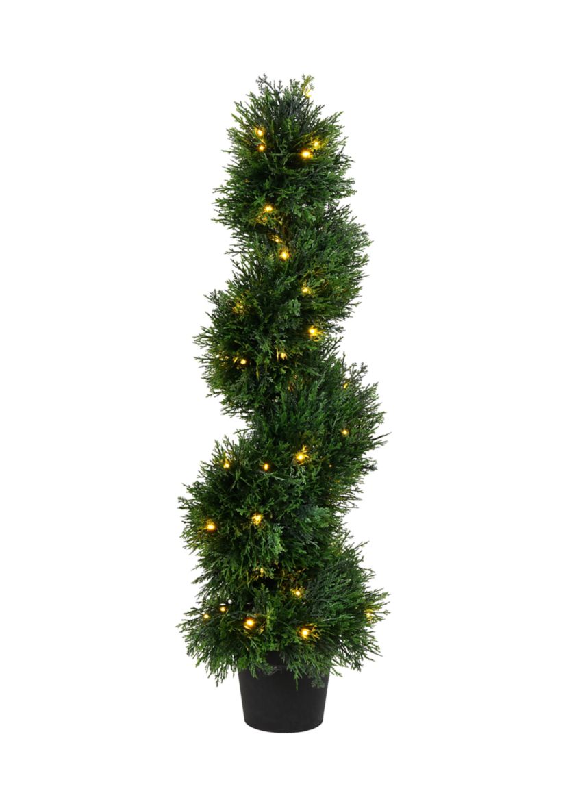 Potted Green Cedar Spiral Tree