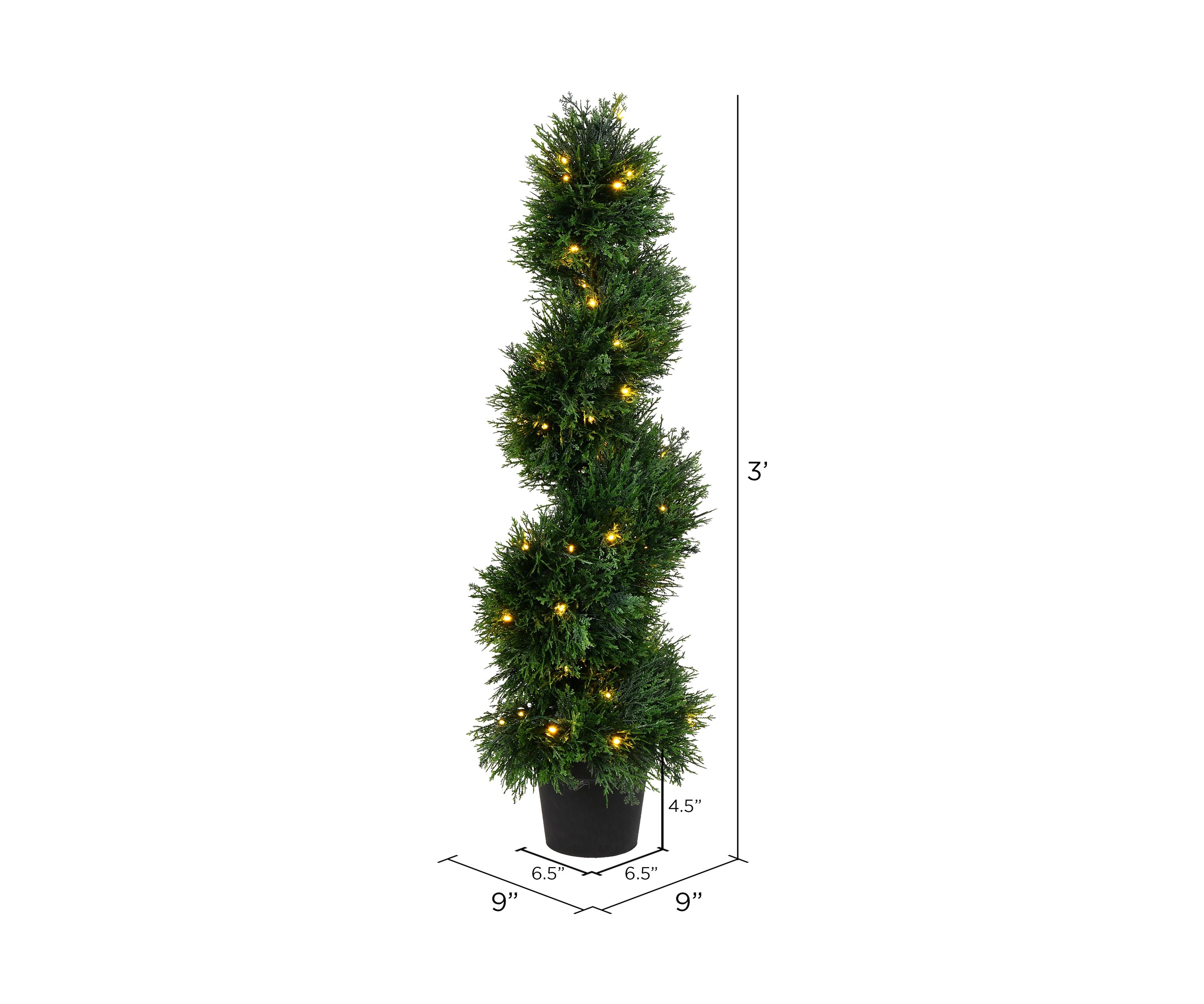 Potted Green Cedar Spiral Tree