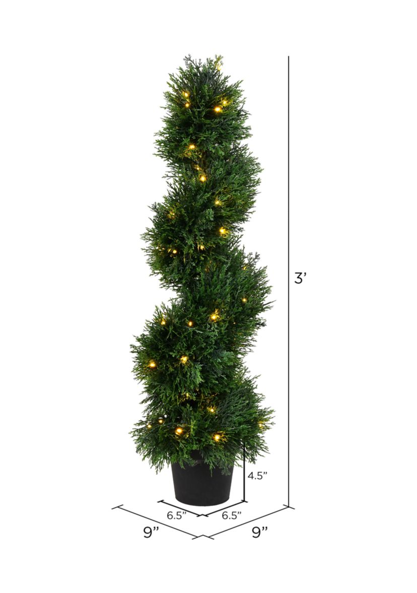 Potted Green Cedar Spiral Tree