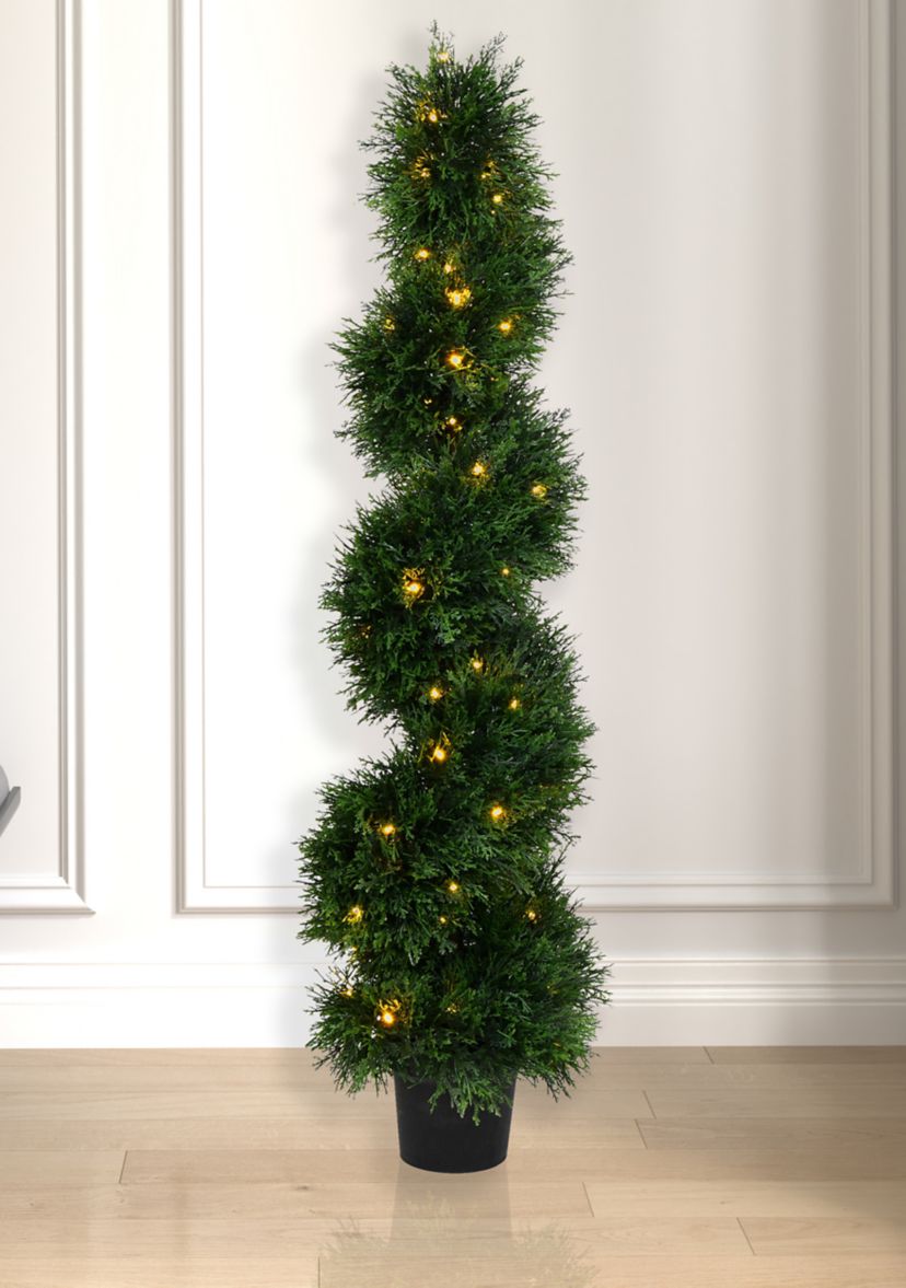 Potted Green Cedar Spiral Tree