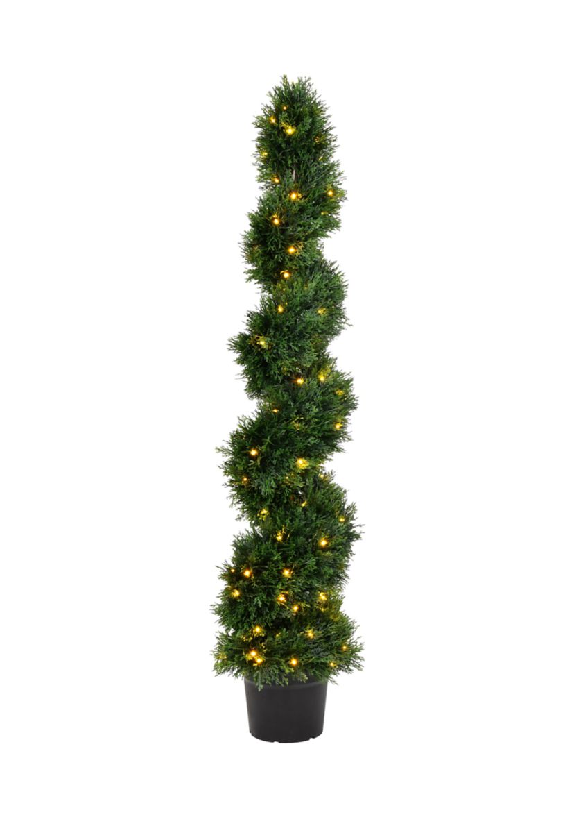 Potted Green Cedar Spiral Tree
