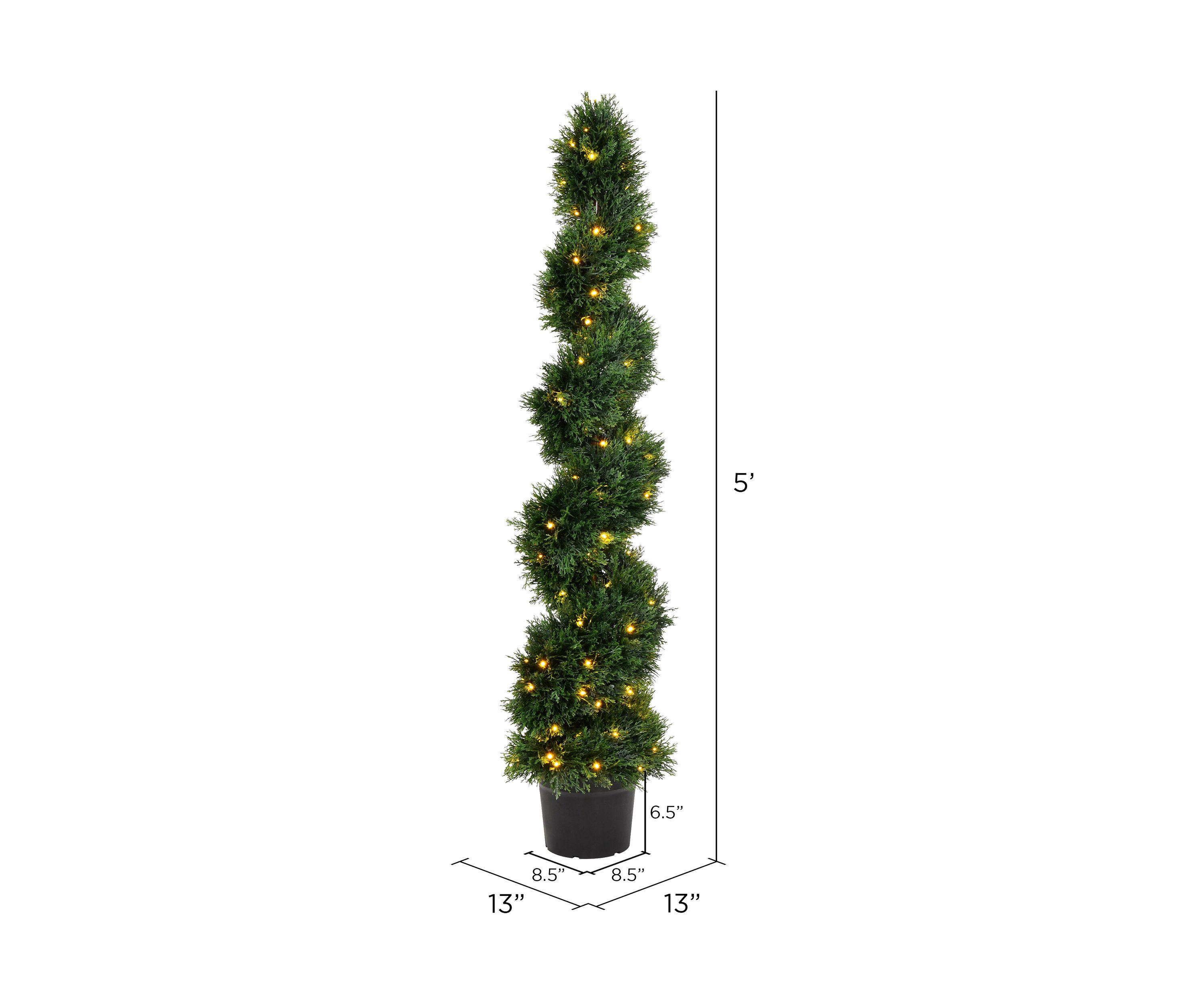 Potted Green Cedar Spiral Tree