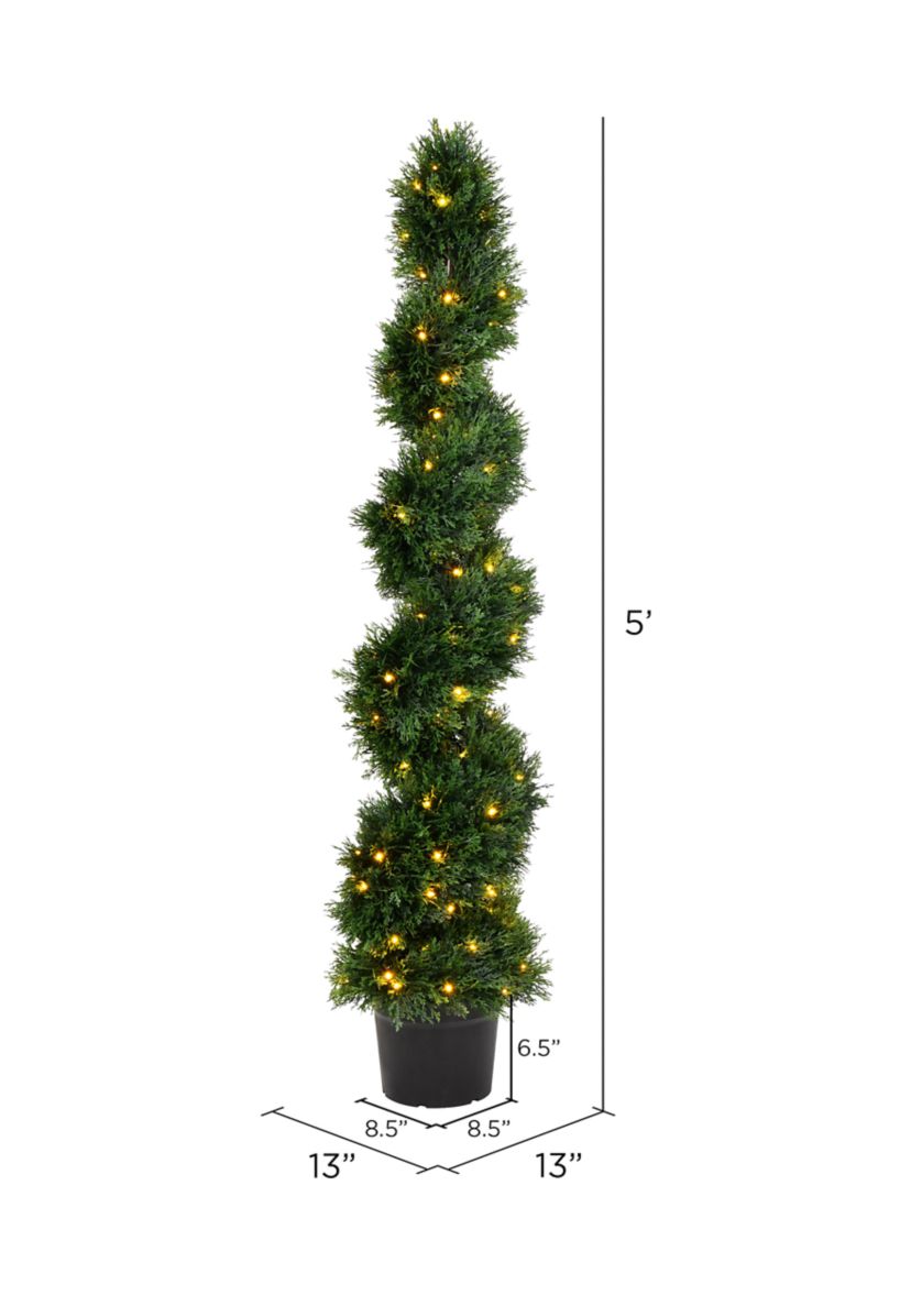 Potted Green Cedar Spiral Tree