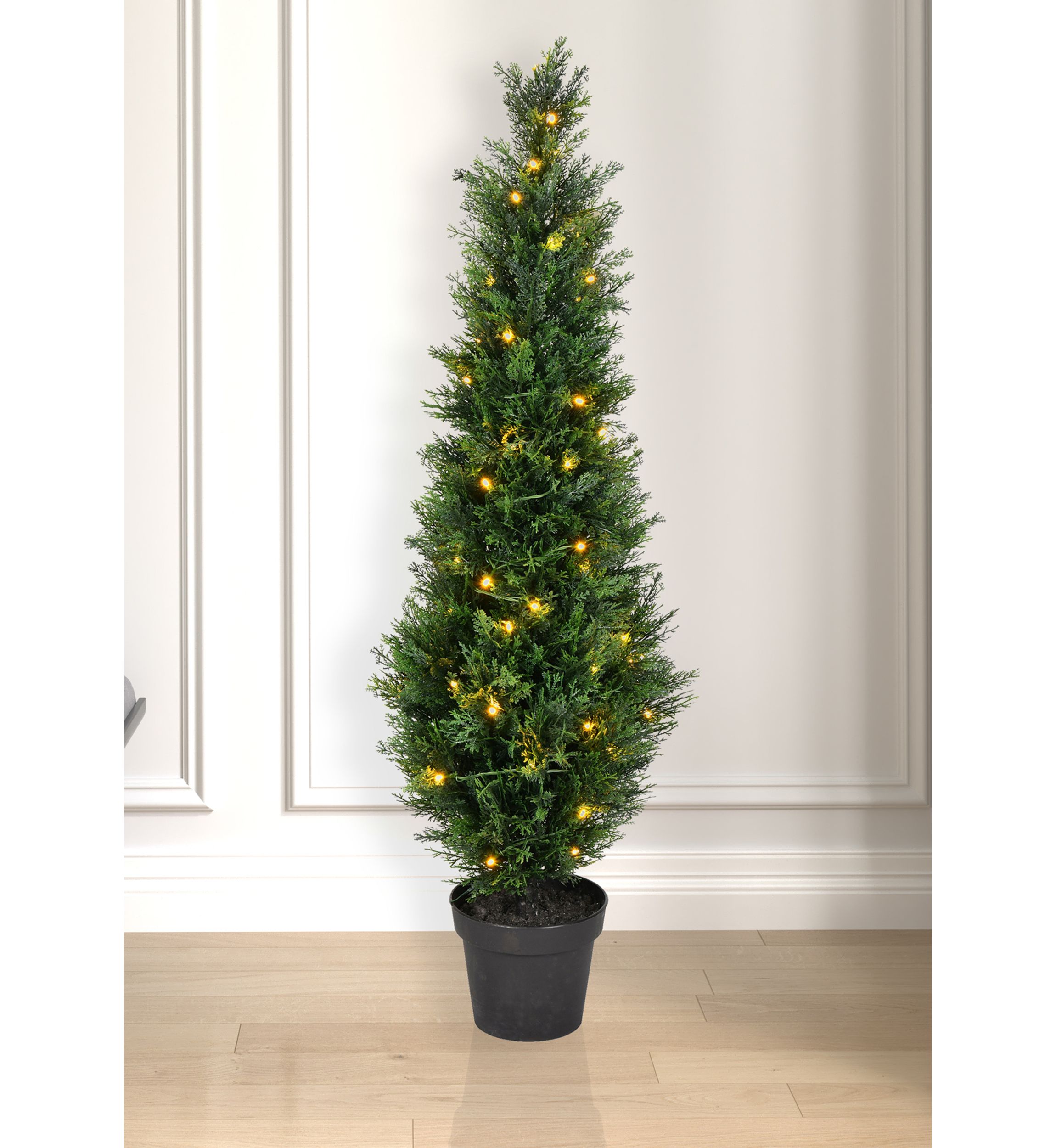 Potted Green Cedar Tree