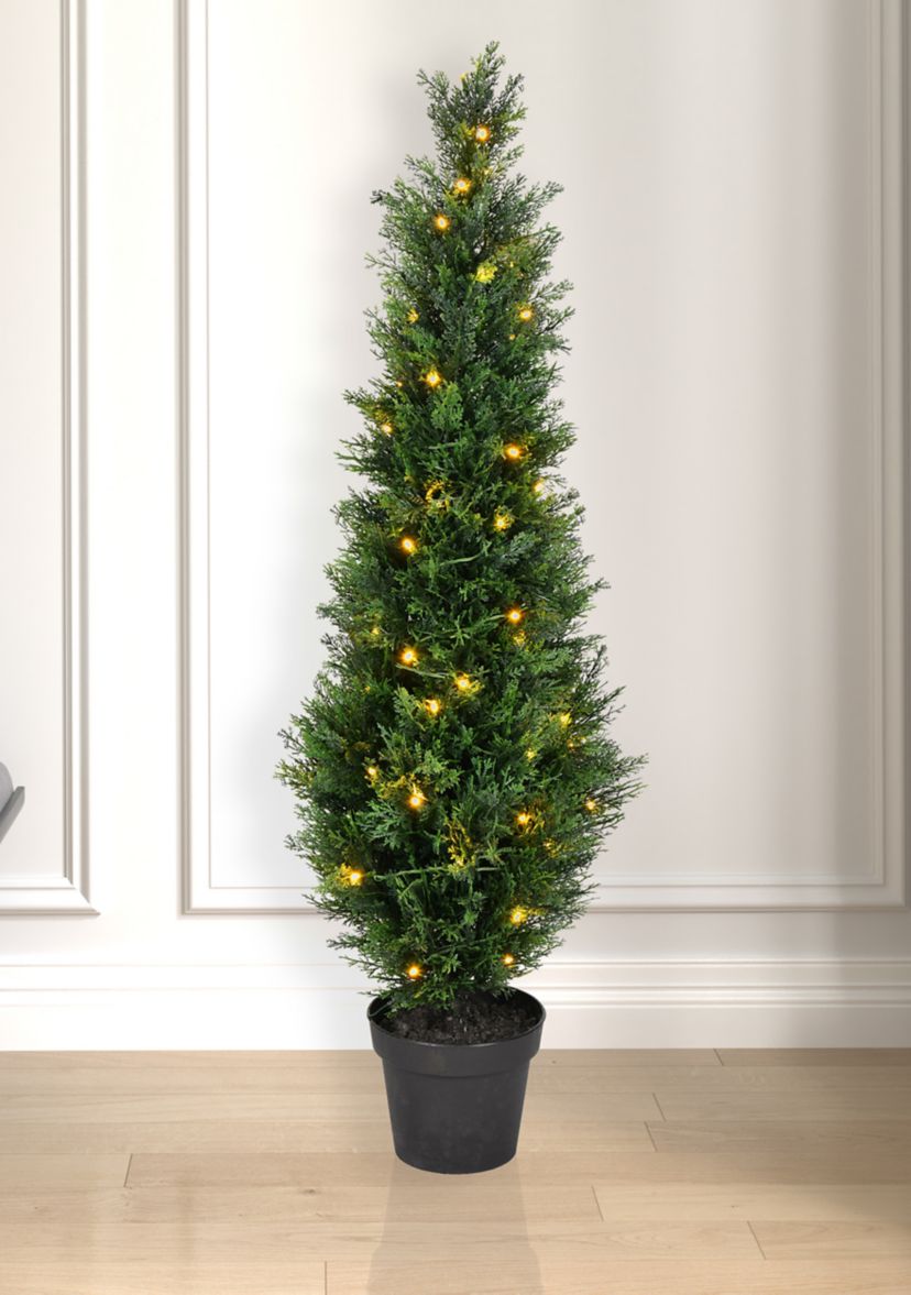 Potted Green Cedar Tree