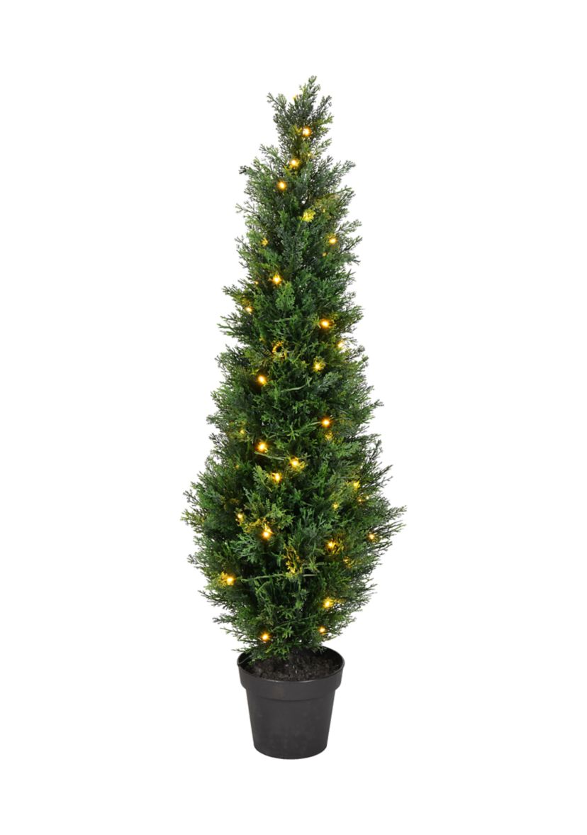 Potted Green Cedar Tree