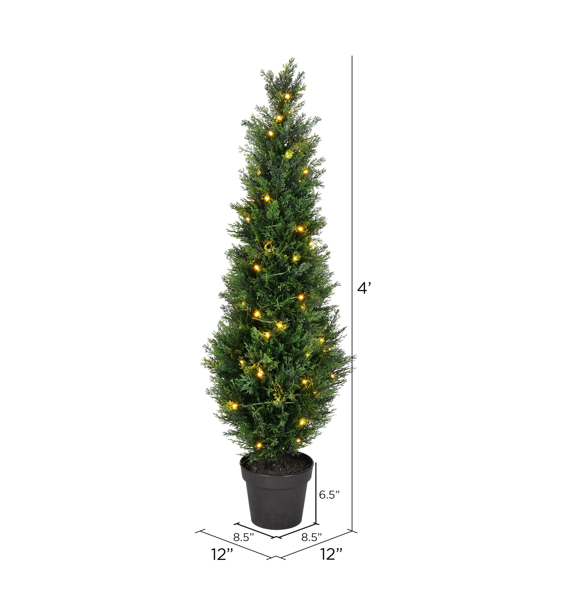 Potted Green Cedar Tree