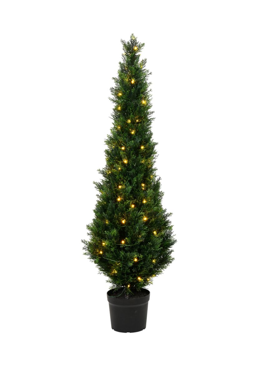 Potted Green Cedar Tree