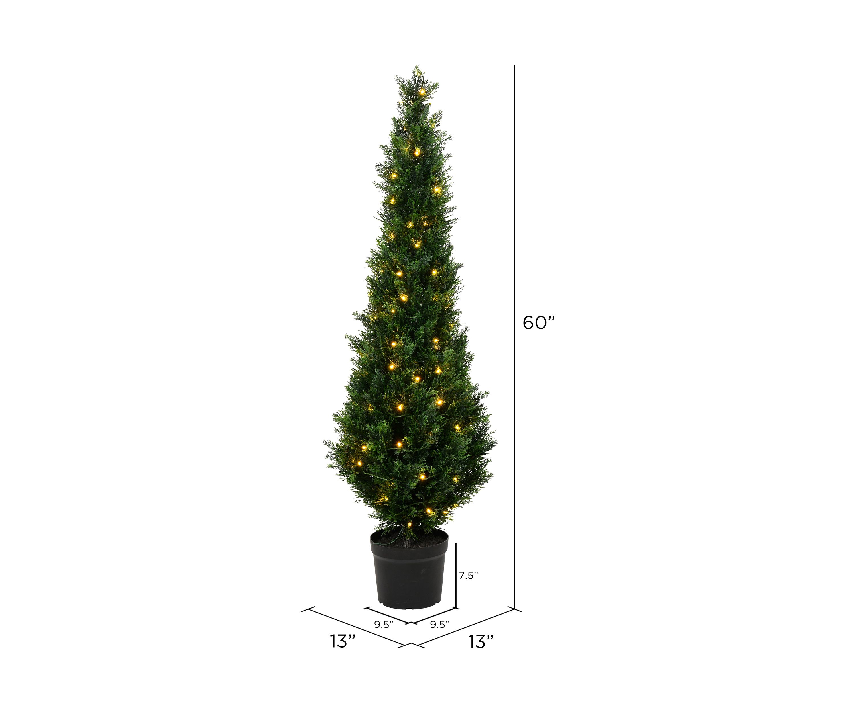 Potted Green Cedar Tree