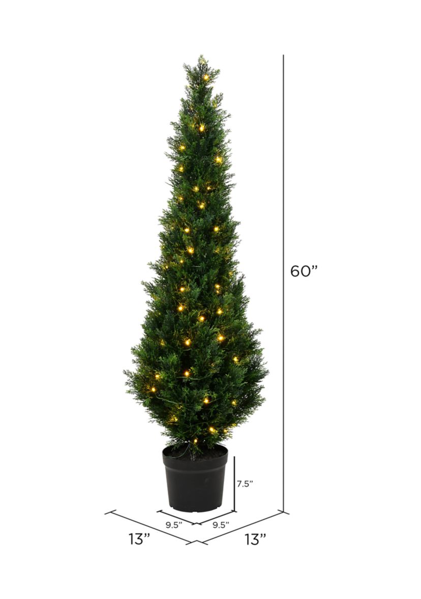 Potted Green Cedar Tree