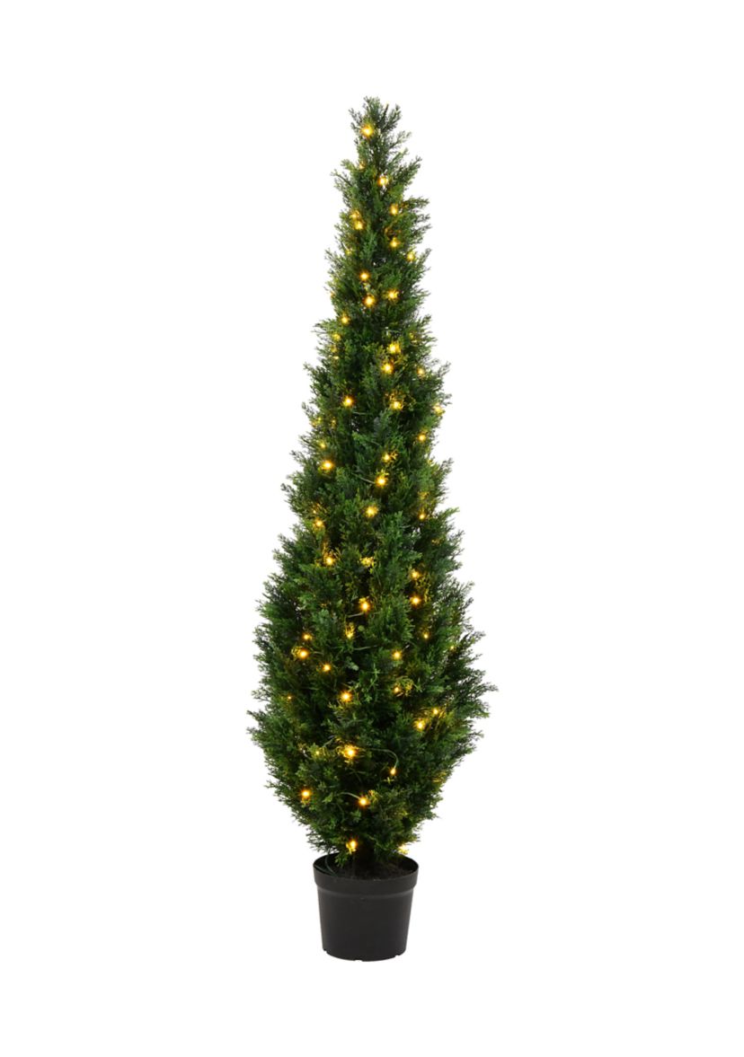 Potted Green Cedar Tree