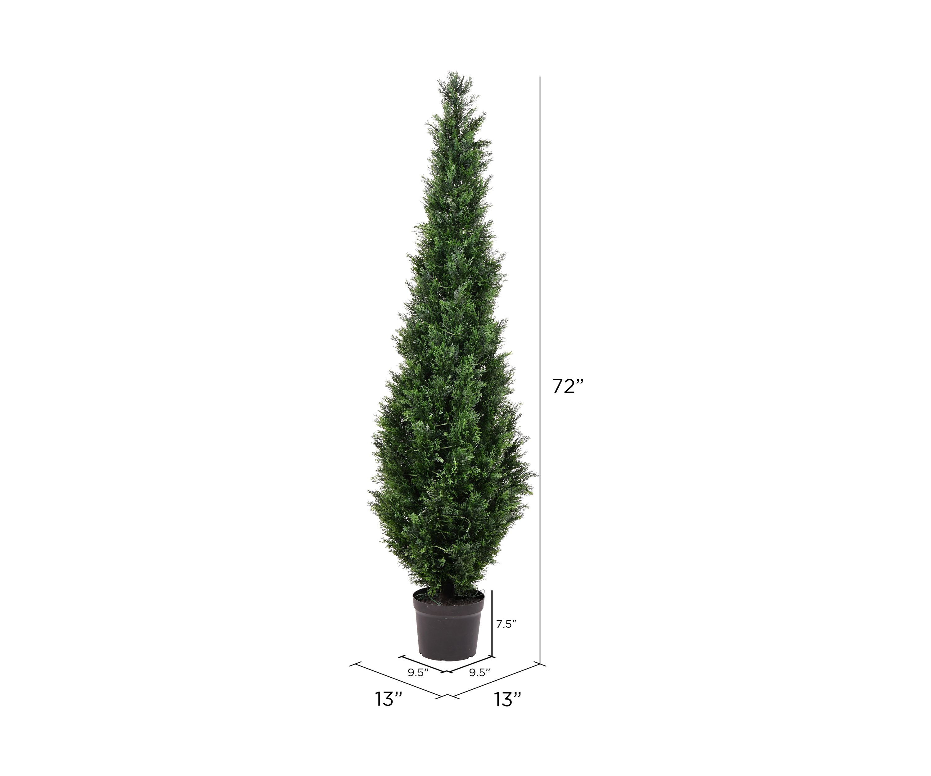 Potted Green Cedar Tree