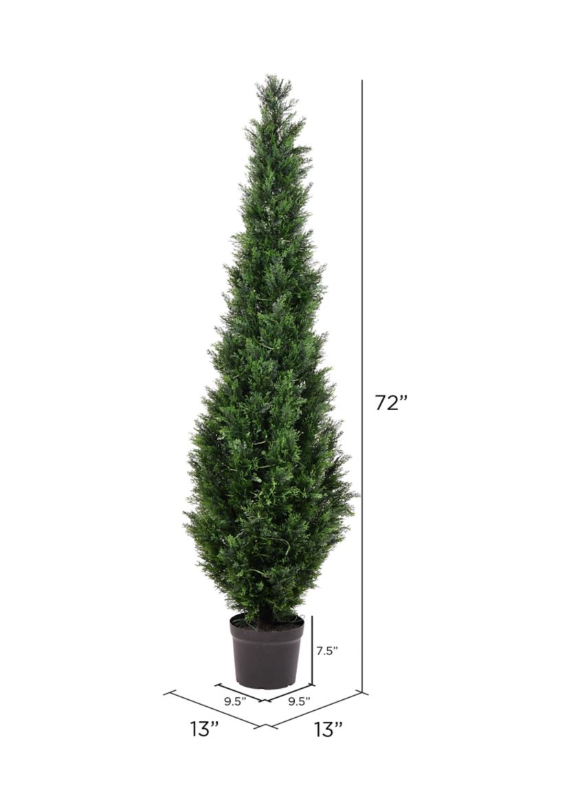 Potted Green Cedar Tree
