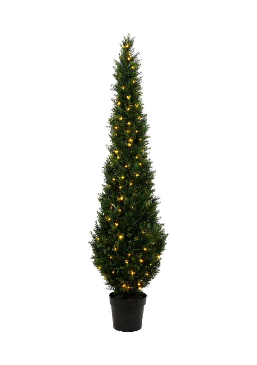 Potted Green Cedar Tree