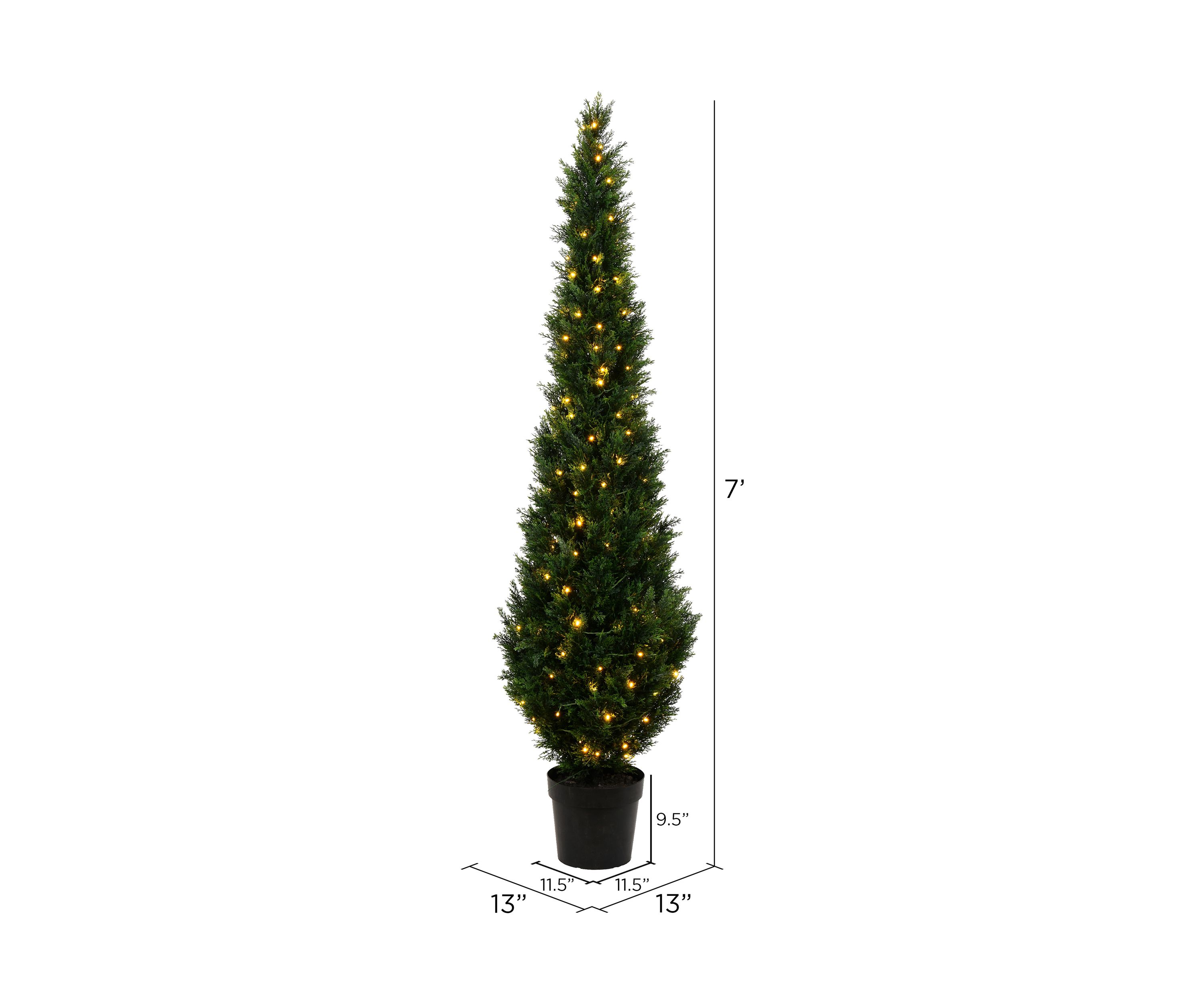 Potted Green Cedar Tree