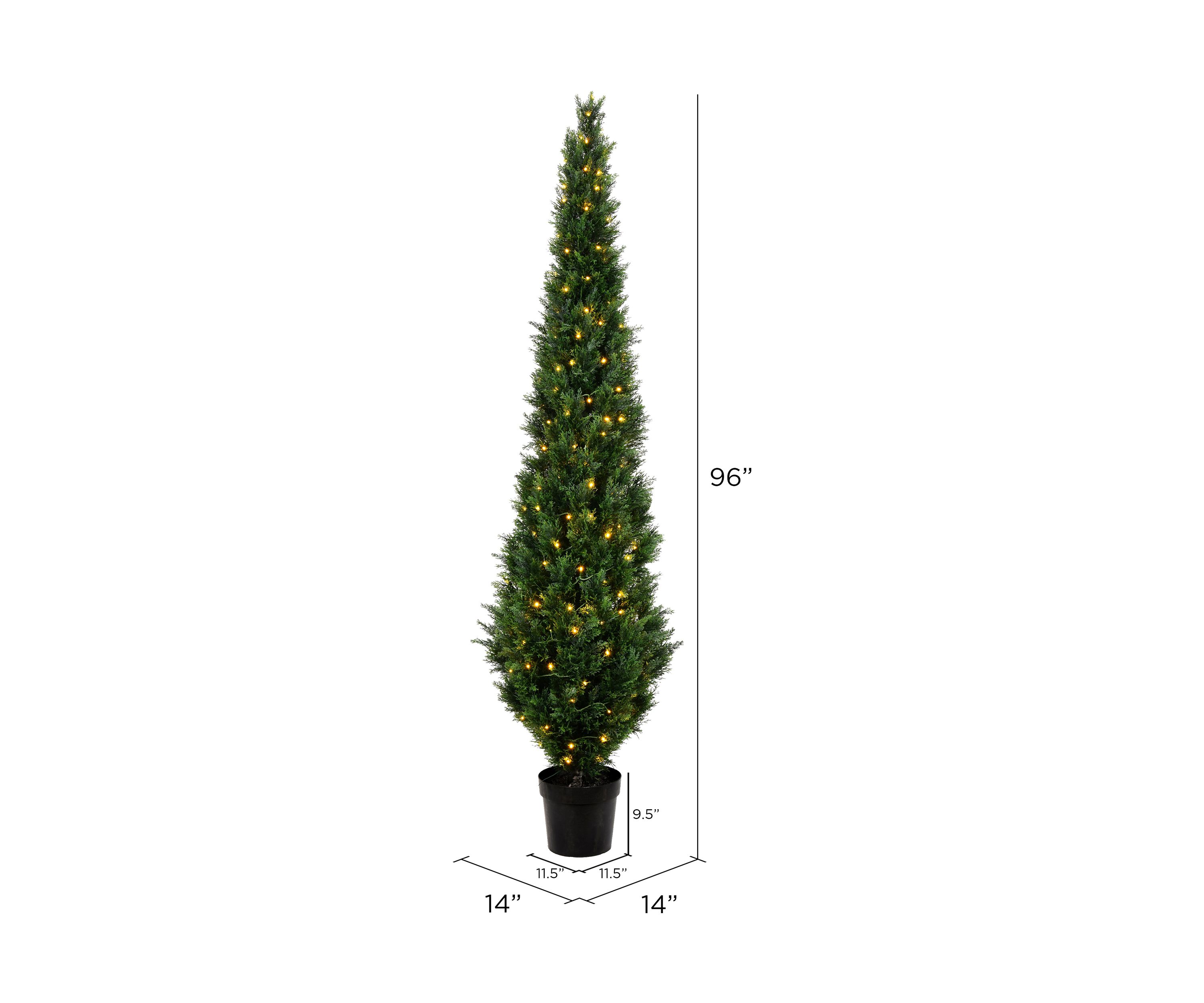 Potted Green Cedar Tree
