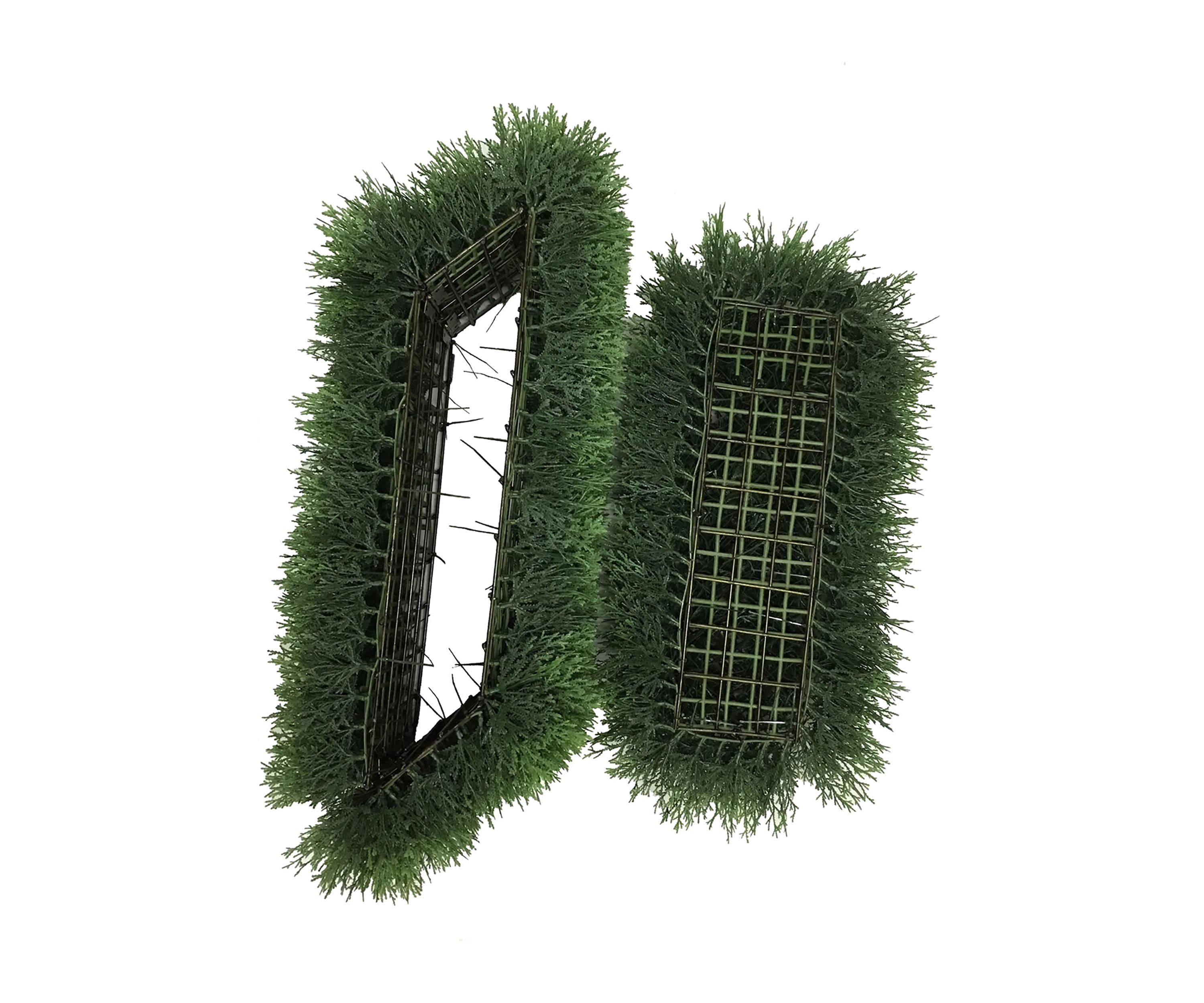 Green Cedar Hedge