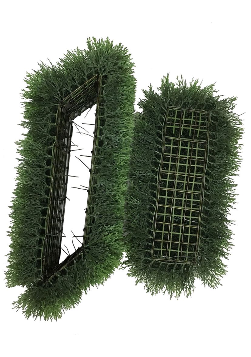 Green Cedar Hedge