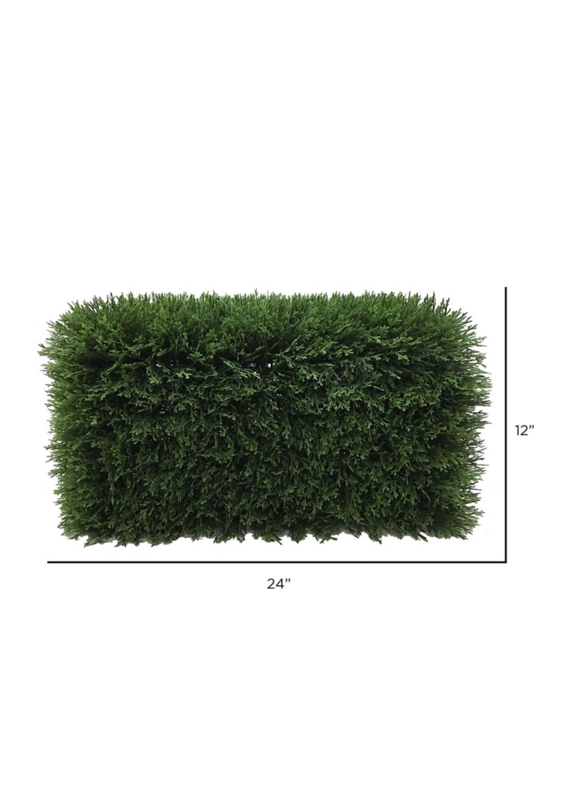 Green Cedar Hedge