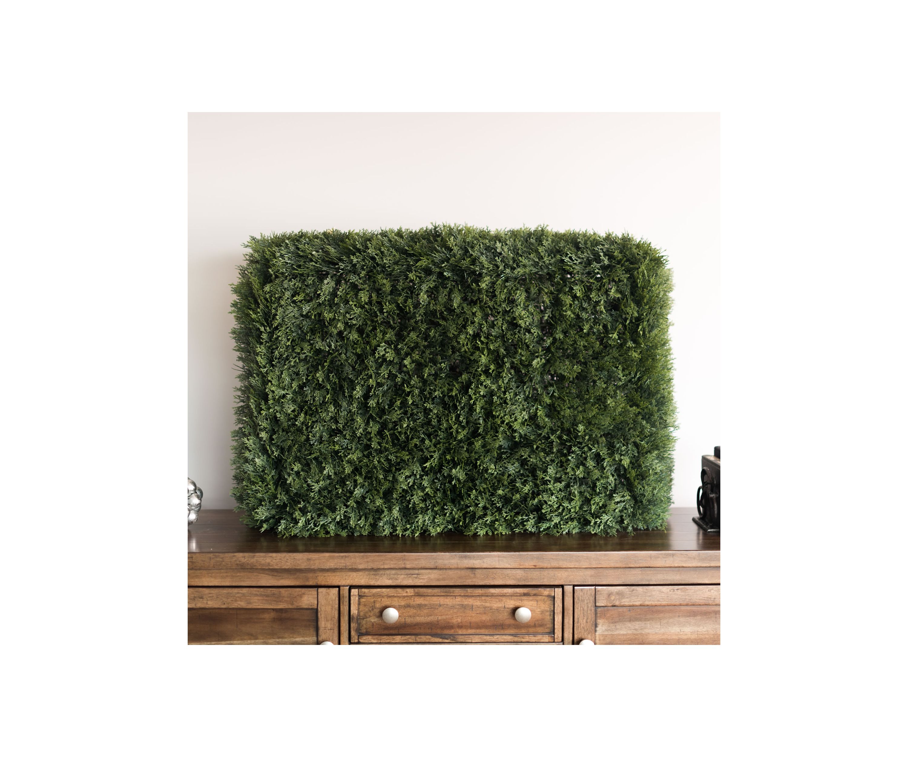 Green Cedar Hedge