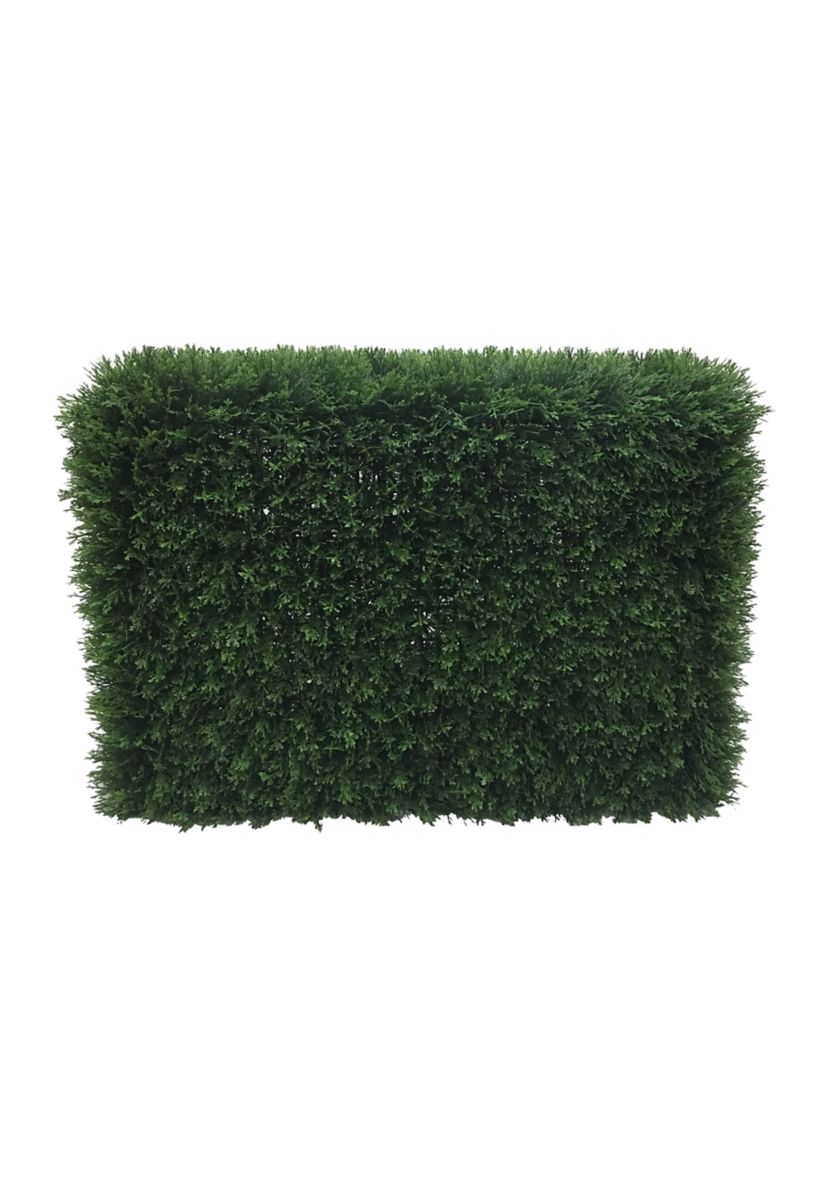 Green Cedar Hedge