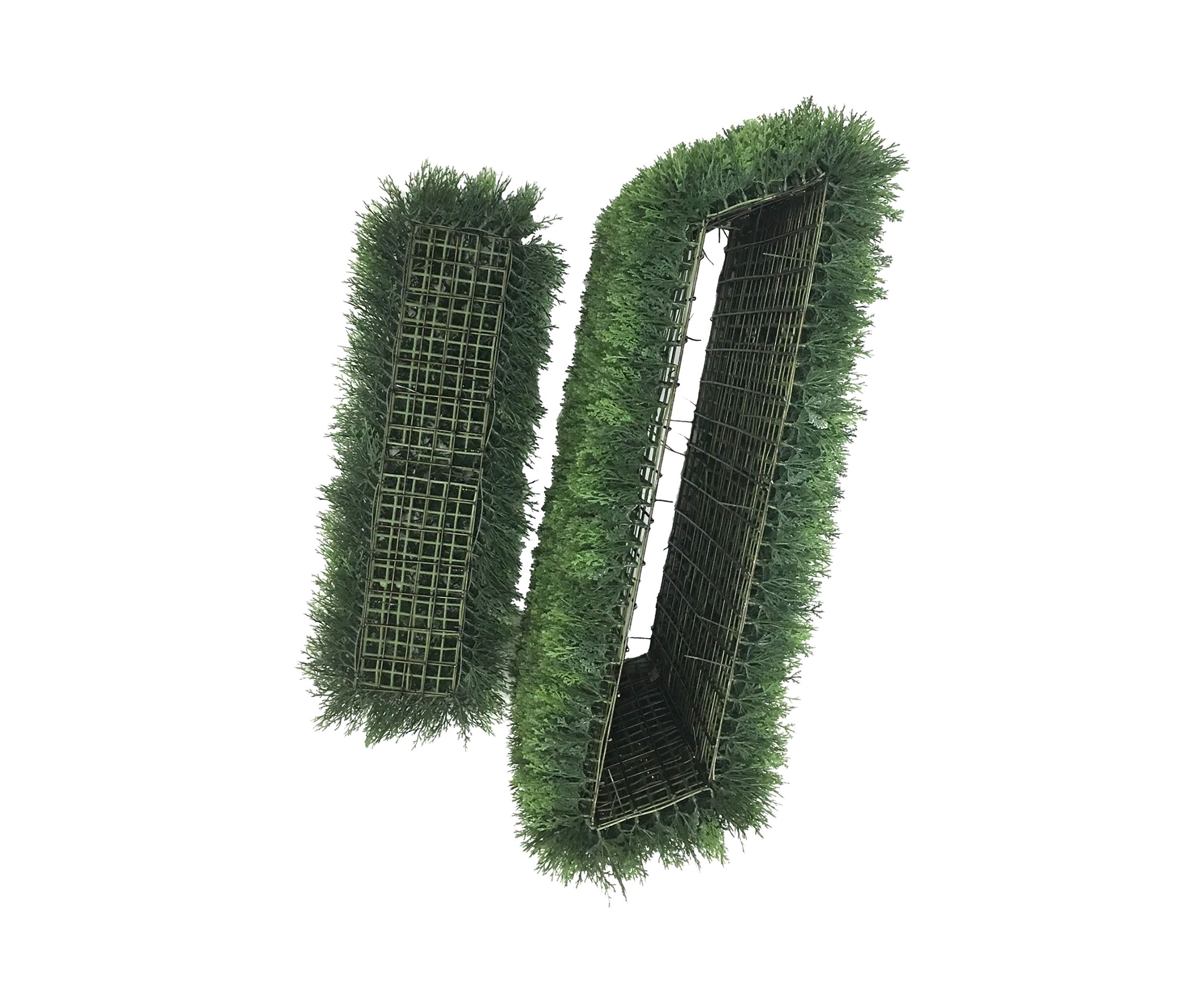 Green Cedar Hedge