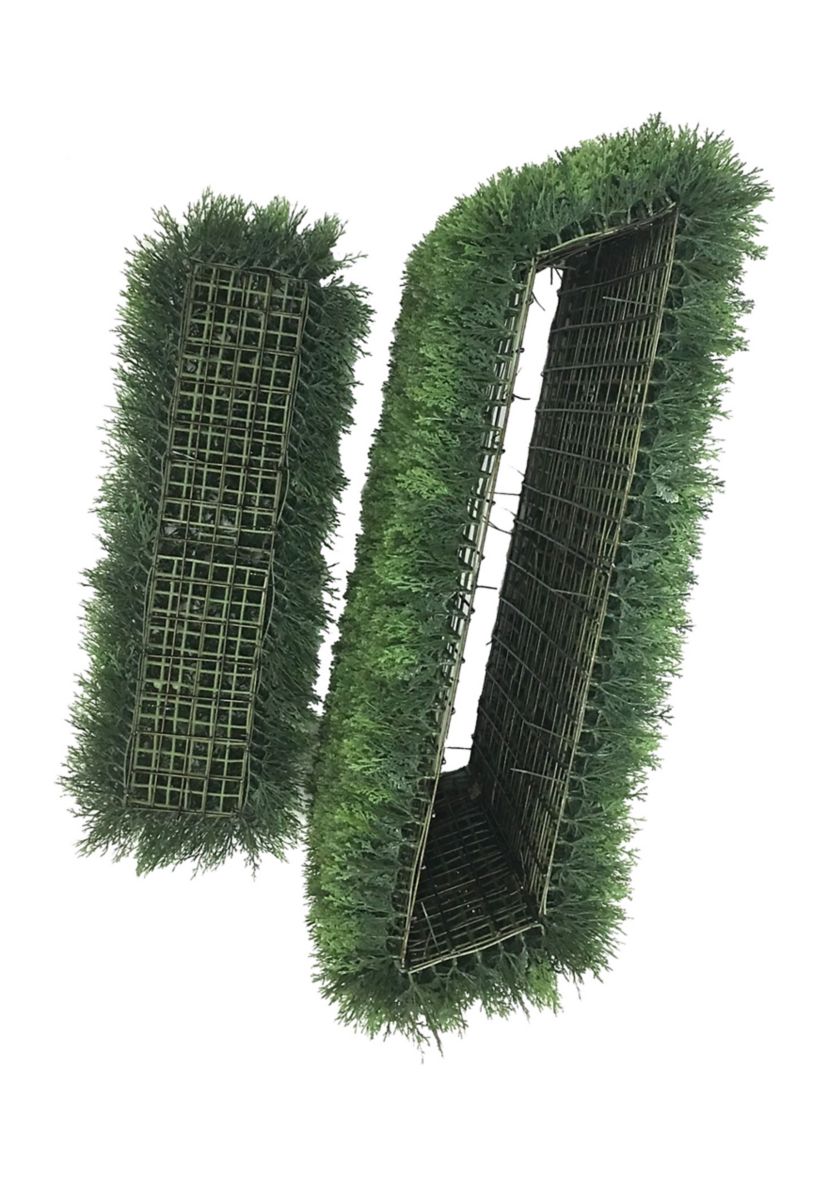 Green Cedar Hedge