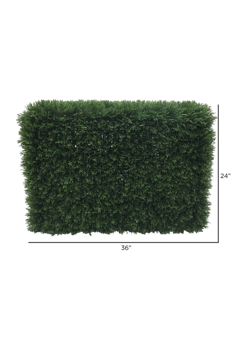 Green Cedar Hedge