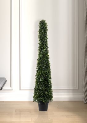 Vickerman Potted Boxwood Cone, Green