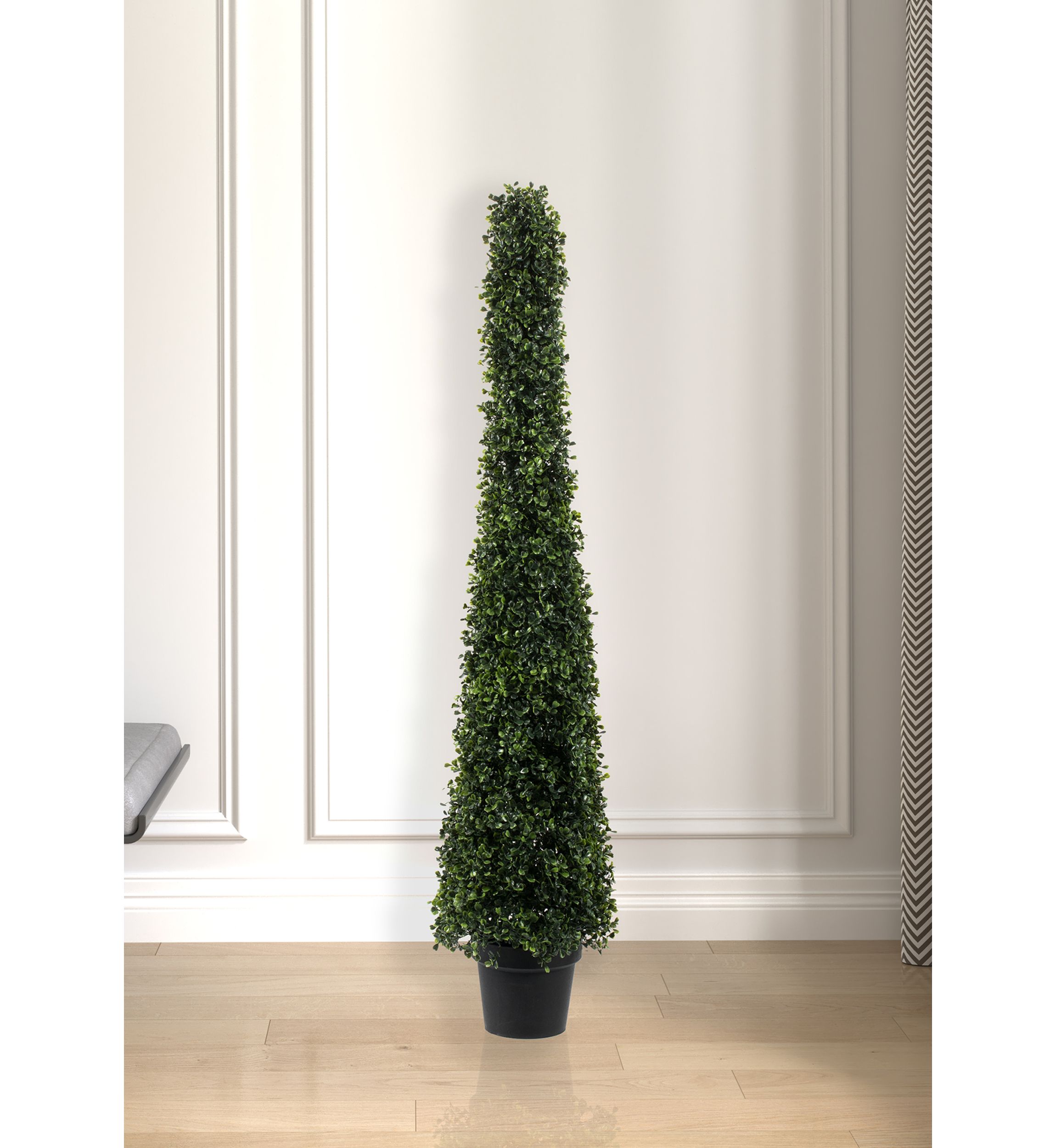 Potted Boxwood Cone