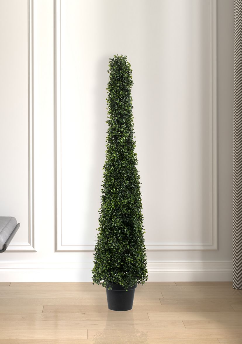 Potted Boxwood Cone
