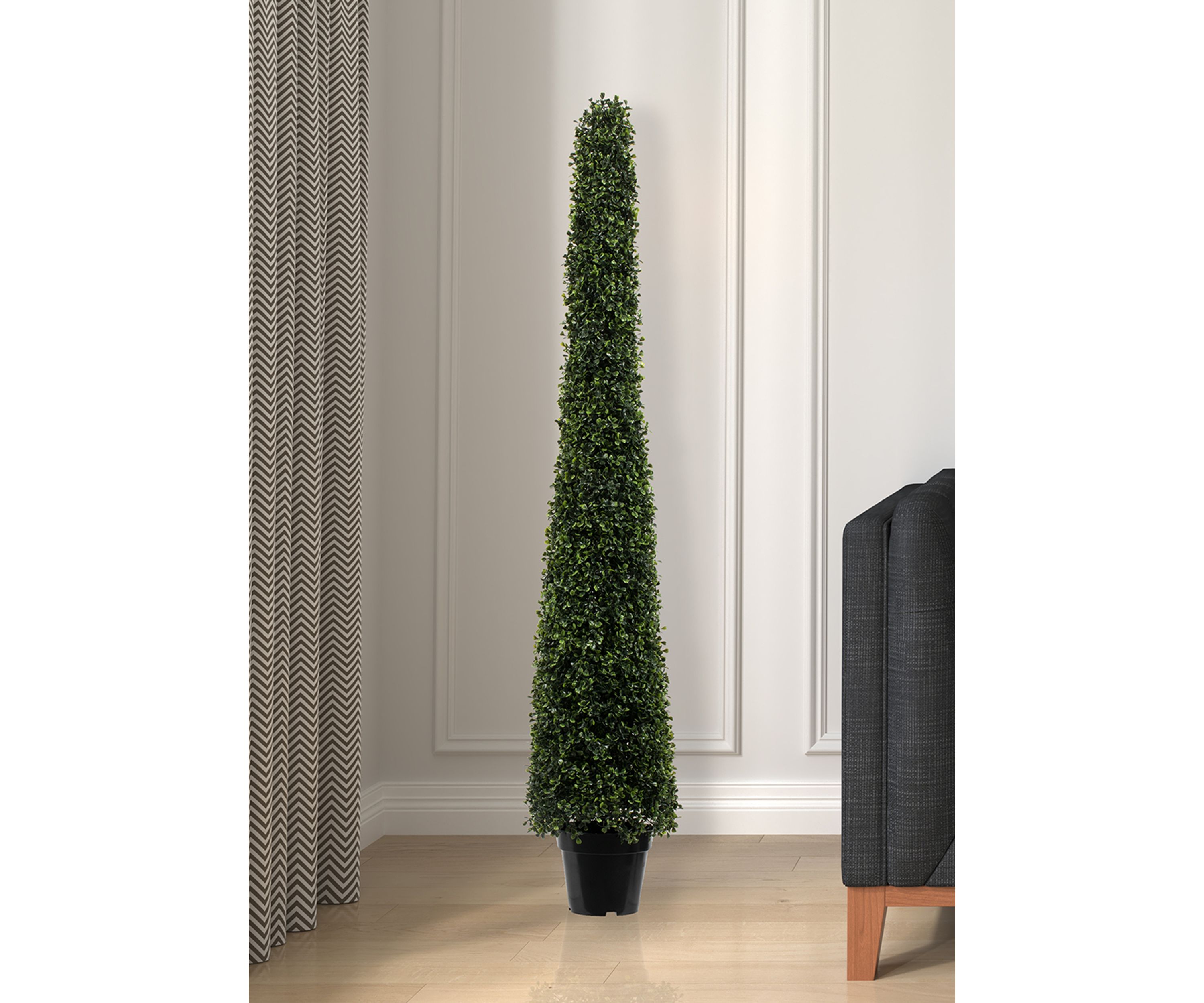 Potted Boxwood Cone