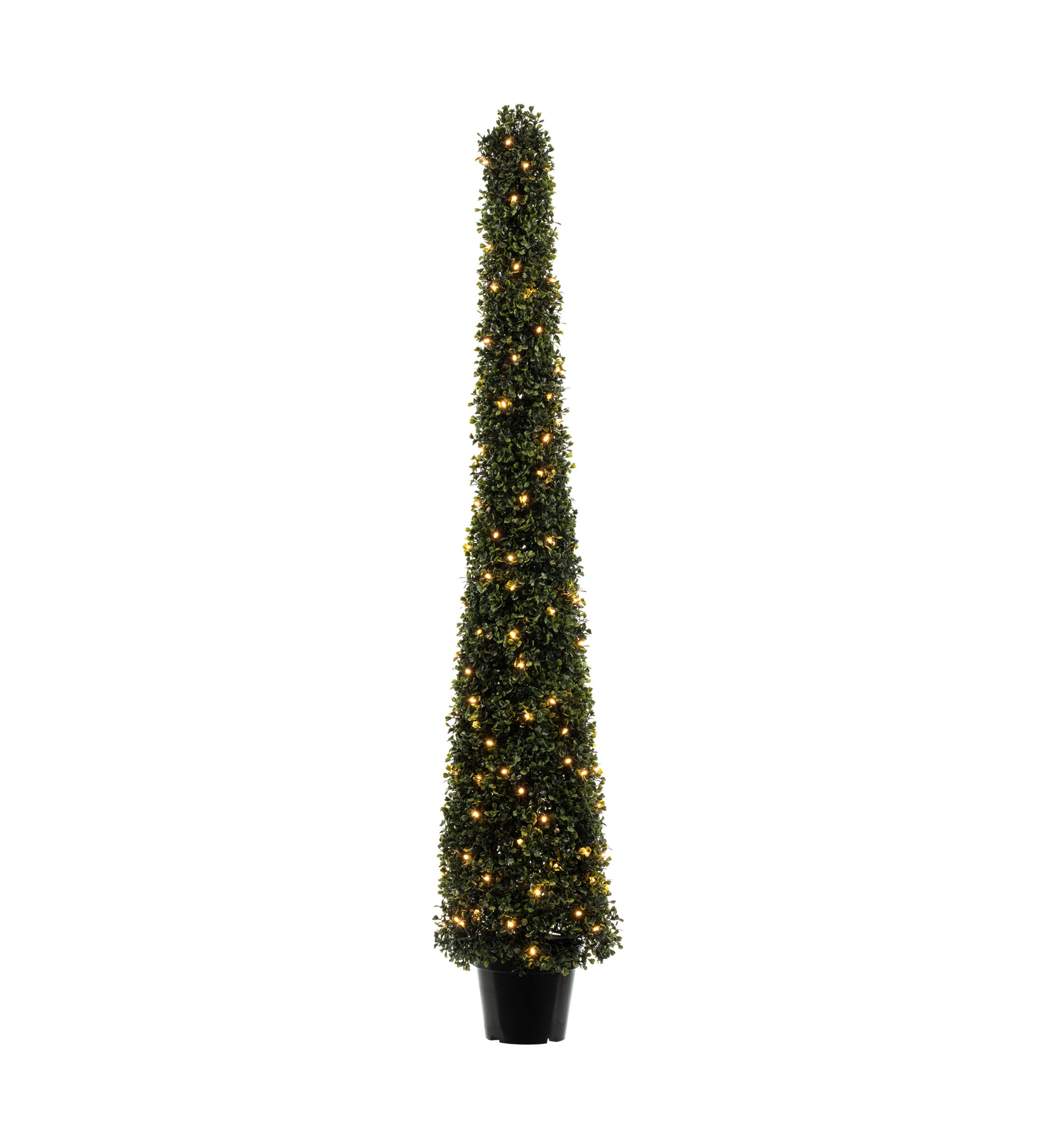 Potted Boxwood Cone with 150 Warm White LED Lights