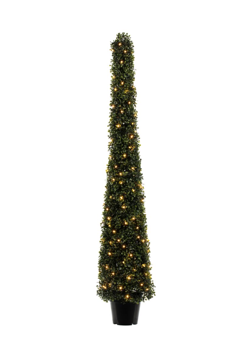Potted Boxwood Cone with 150 Warm White LED Lights