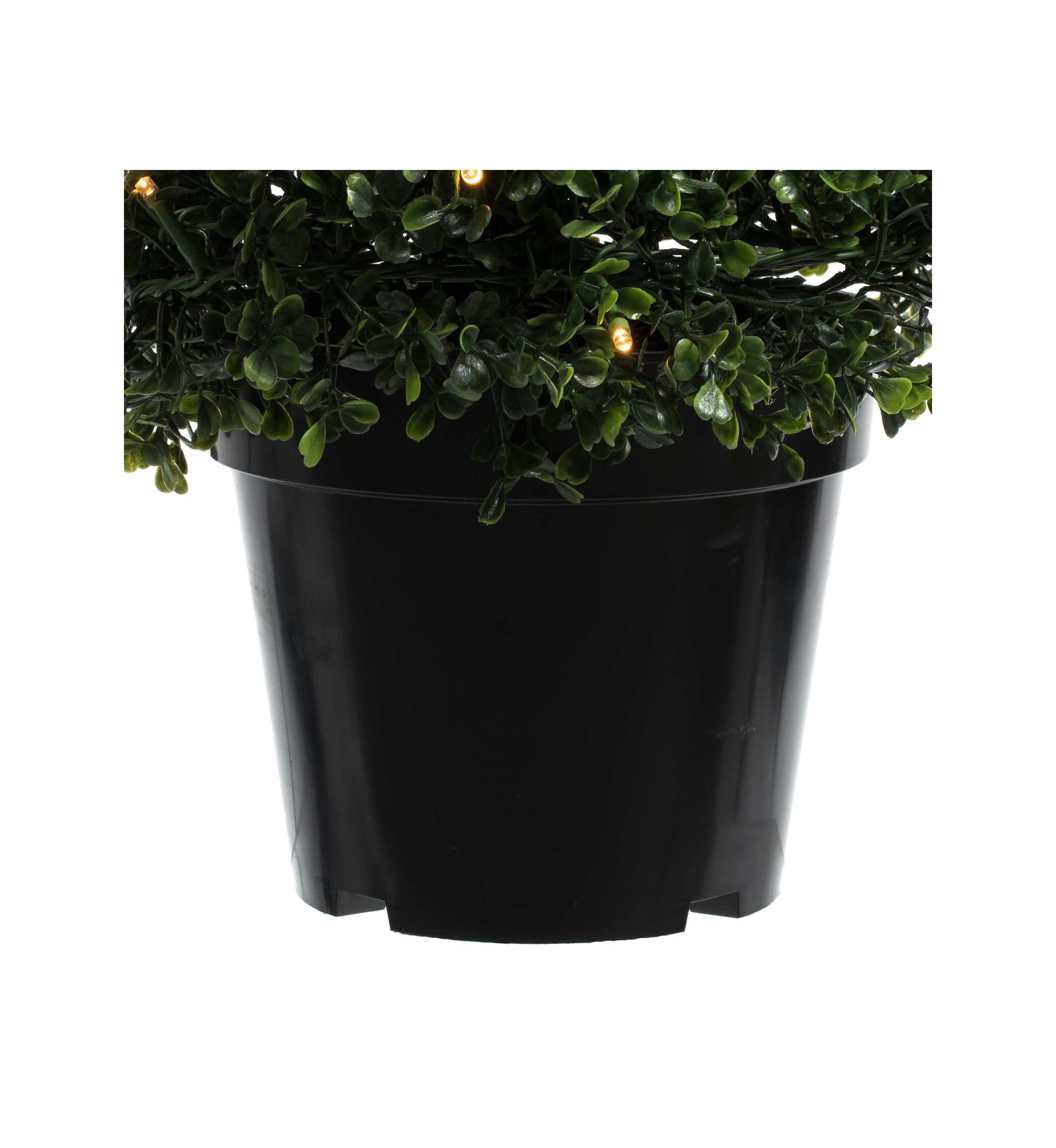 Potted Boxwood Cone with 150 Warm White LED Lights