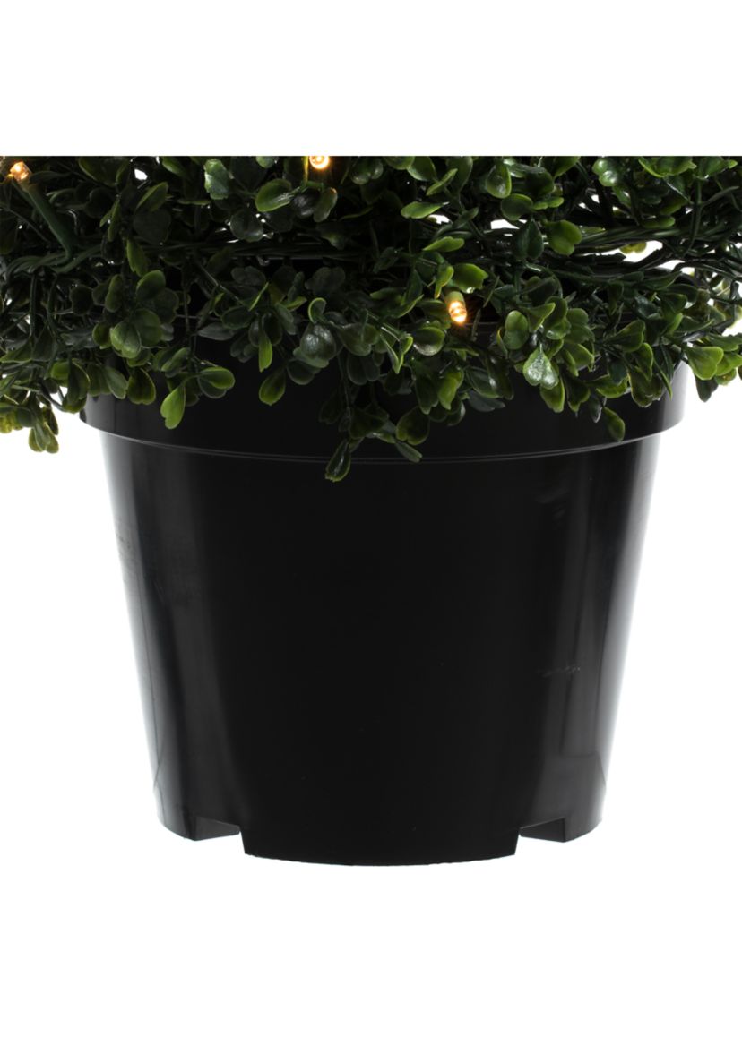 Potted Boxwood Cone with 150 Warm White LED Lights