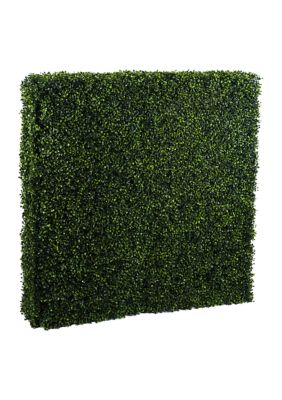 Vickerman Boxwood Hedge