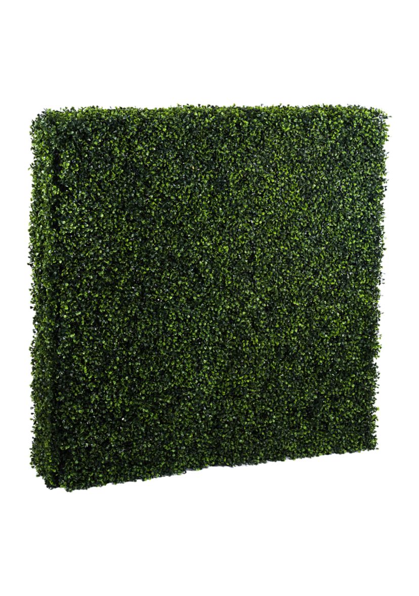 Boxwood Hedge