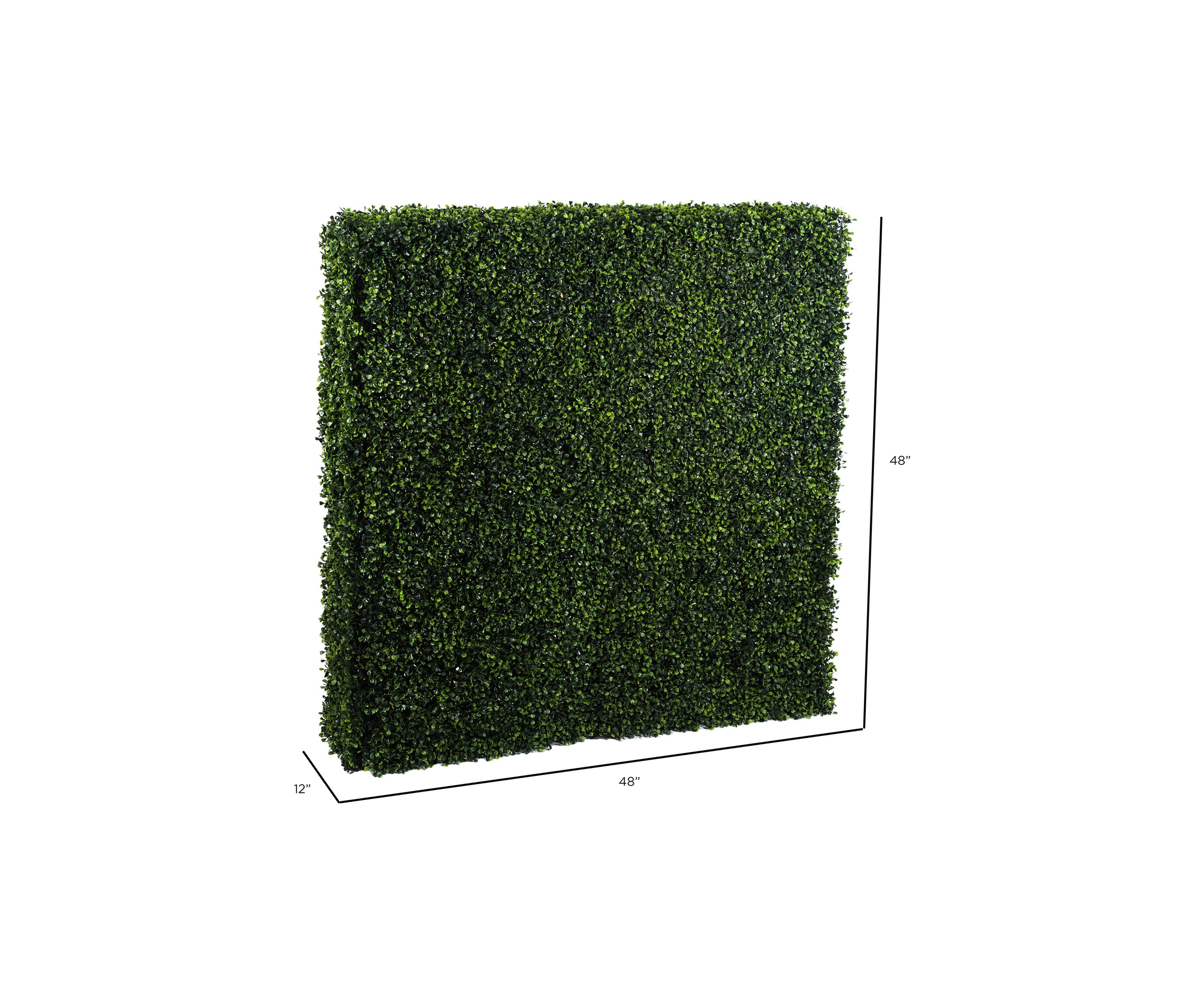 Boxwood Hedge