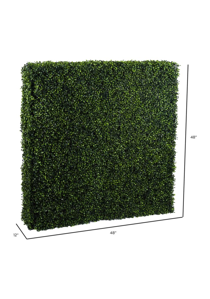 Boxwood Hedge