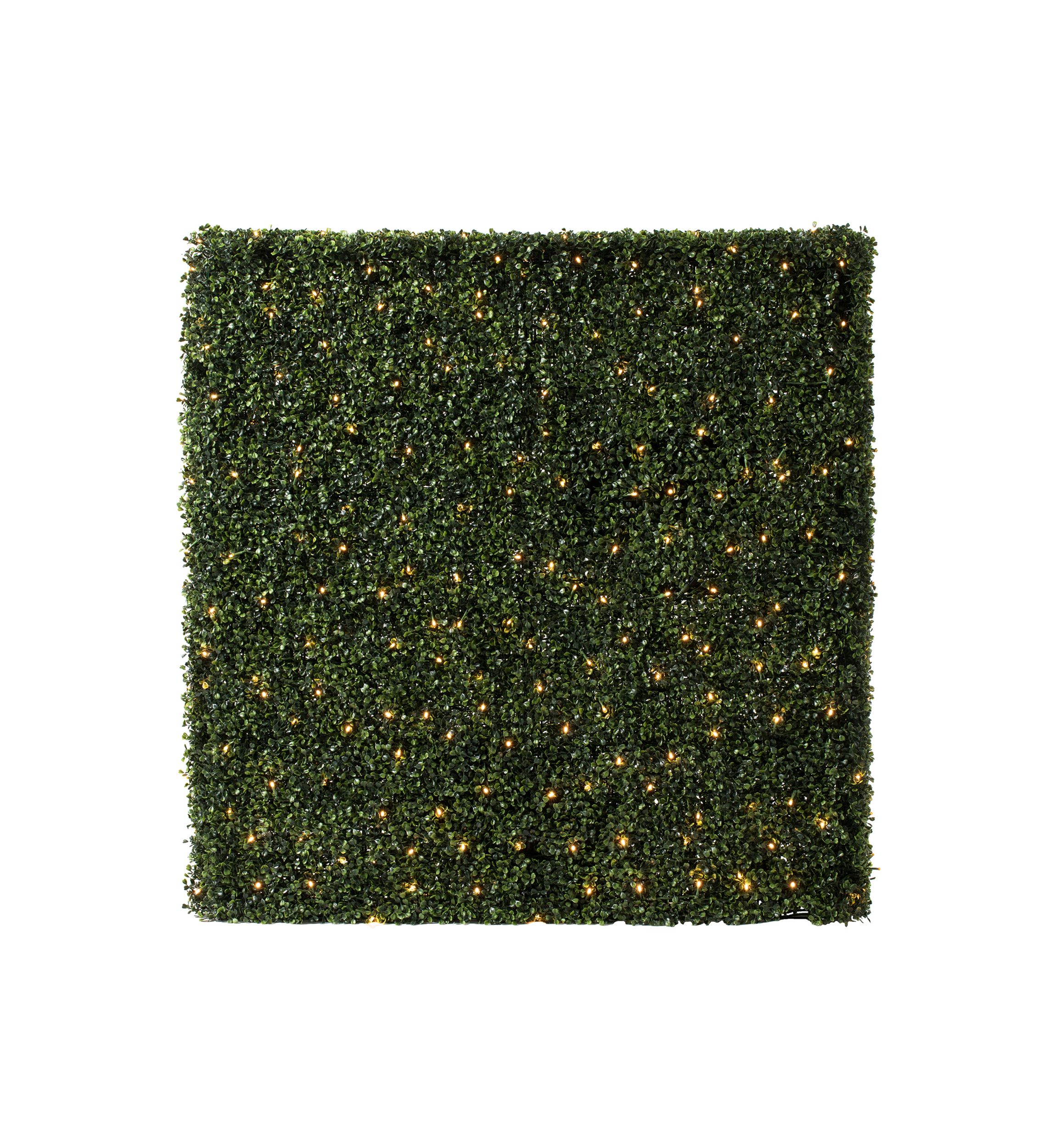 Boxwood Hedge With 400 Warm White LED Lights