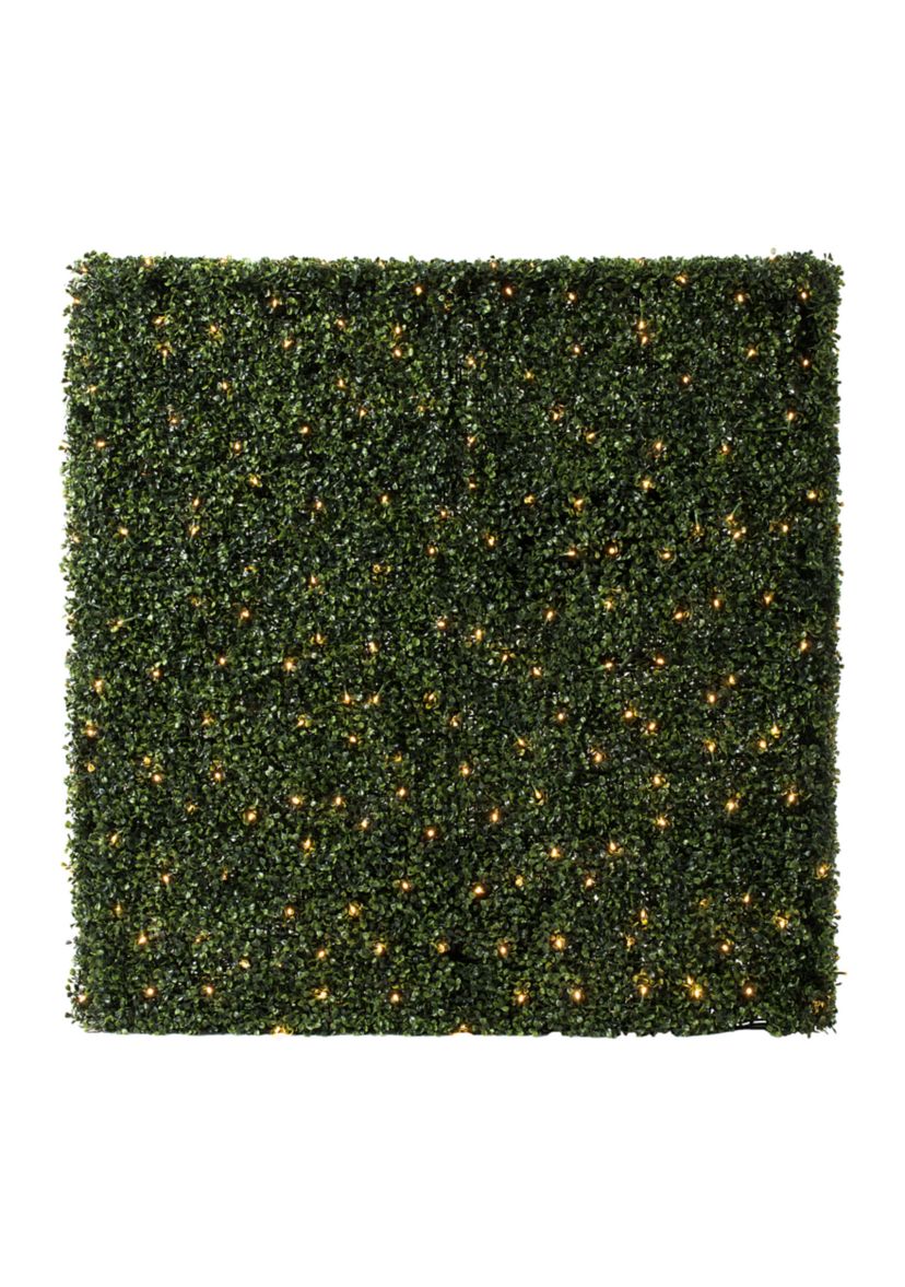 Boxwood Hedge With 400 Warm White LED Lights