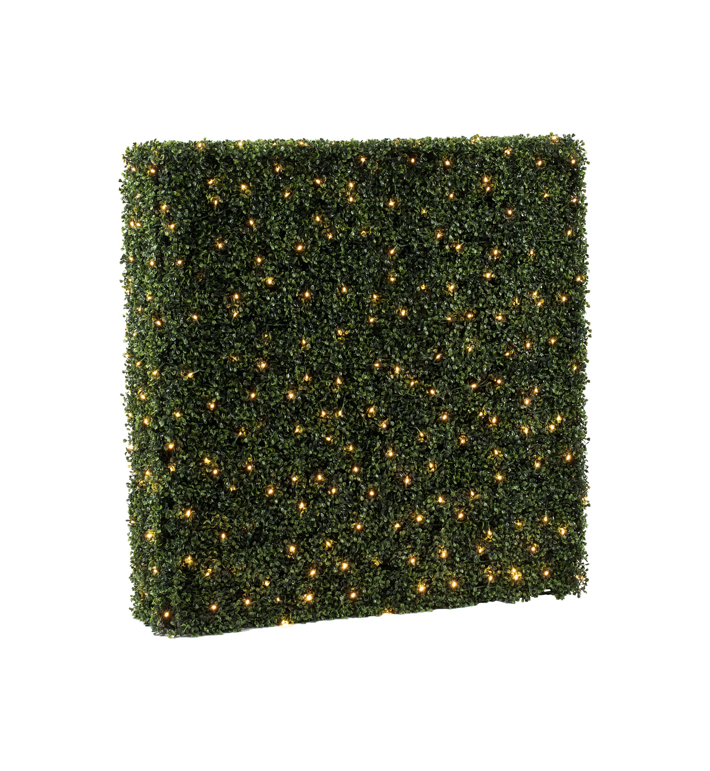 Boxwood Hedge With 400 Warm White LED Lights