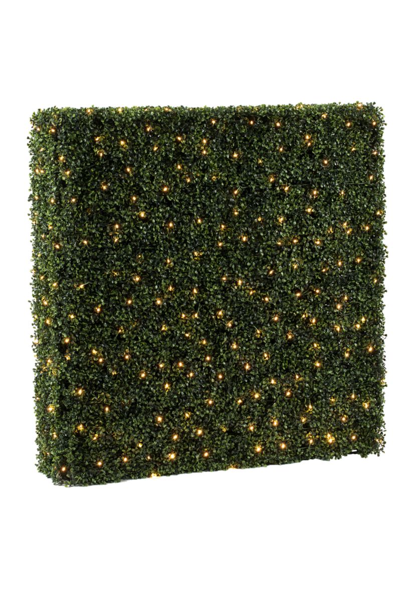 Boxwood Hedge With 400 Warm White LED Lights