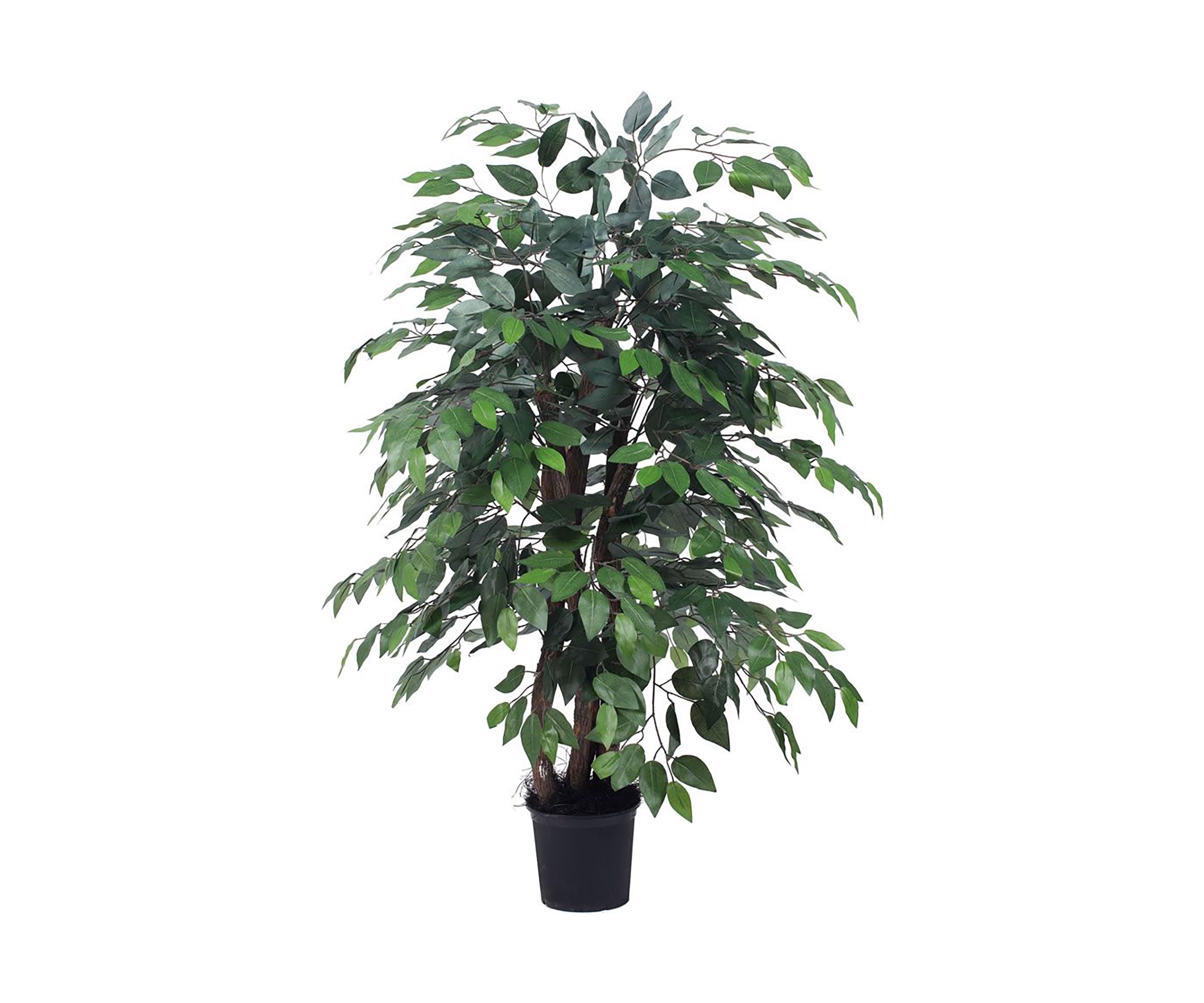 Artificial Ficus Extra Full Bush, Plastic Pot.