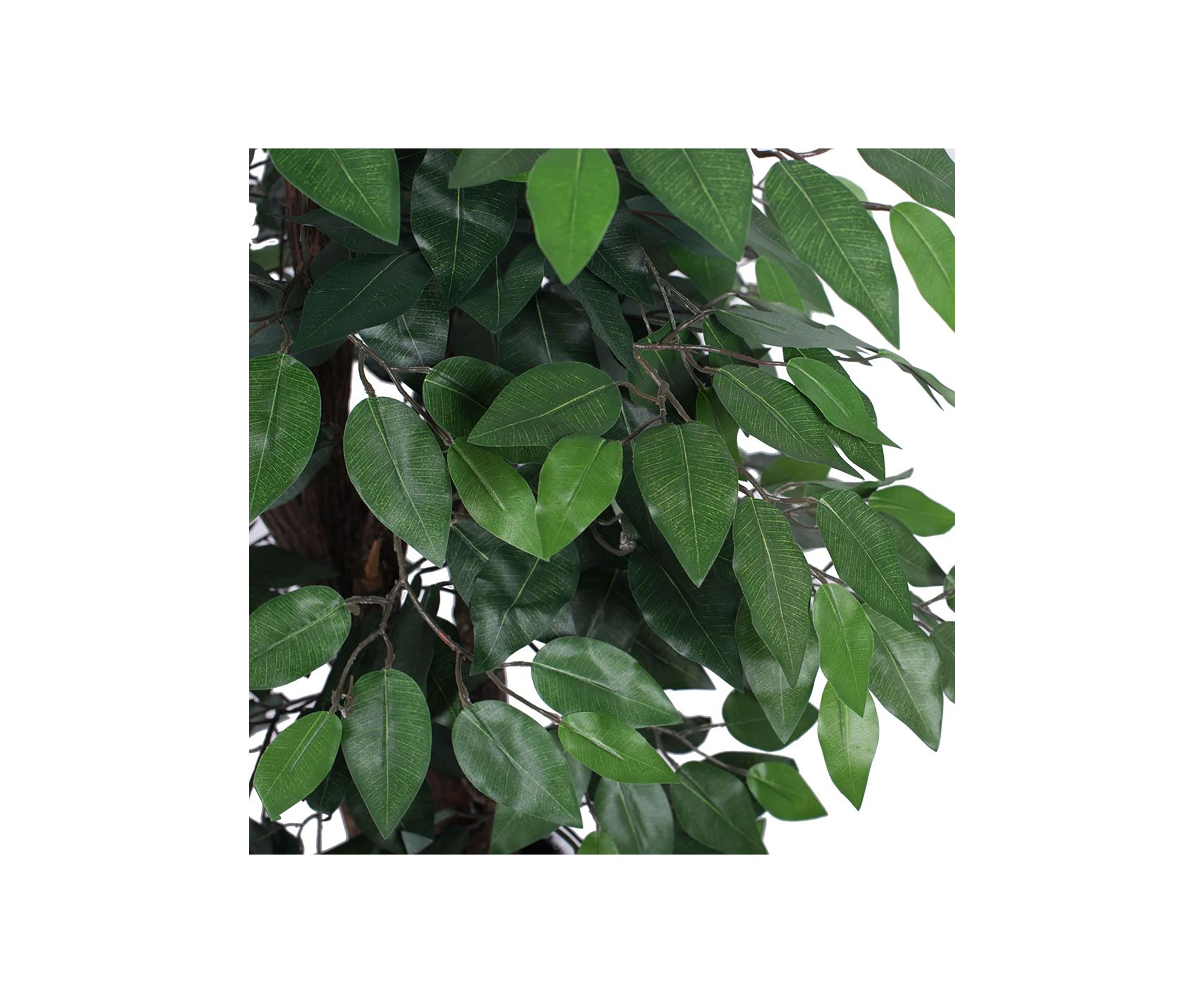 Artificial Ficus Extra Full Bush, Plastic Pot.
