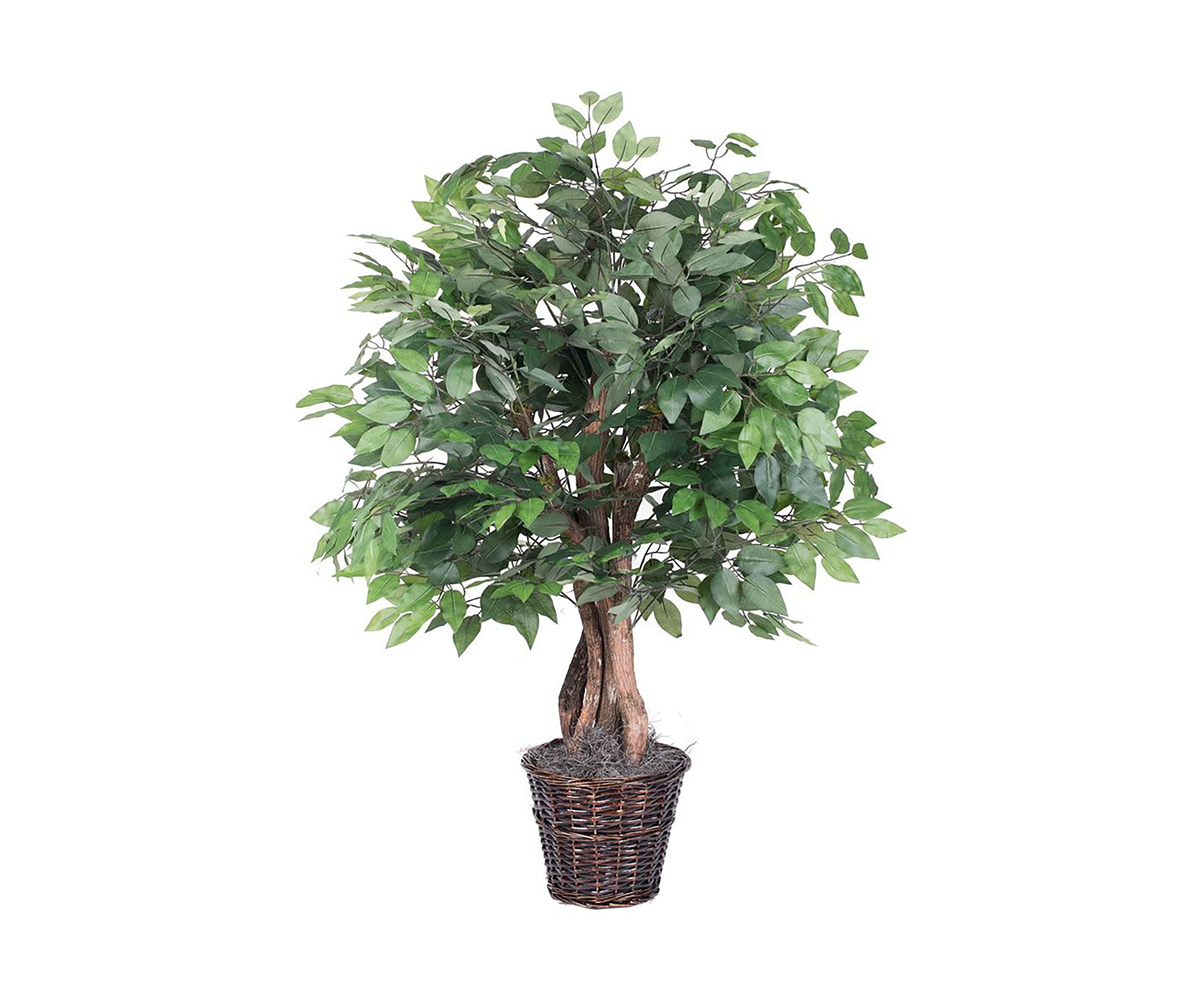 Artificial Ficus Extra Full Bush, Rattan Basket