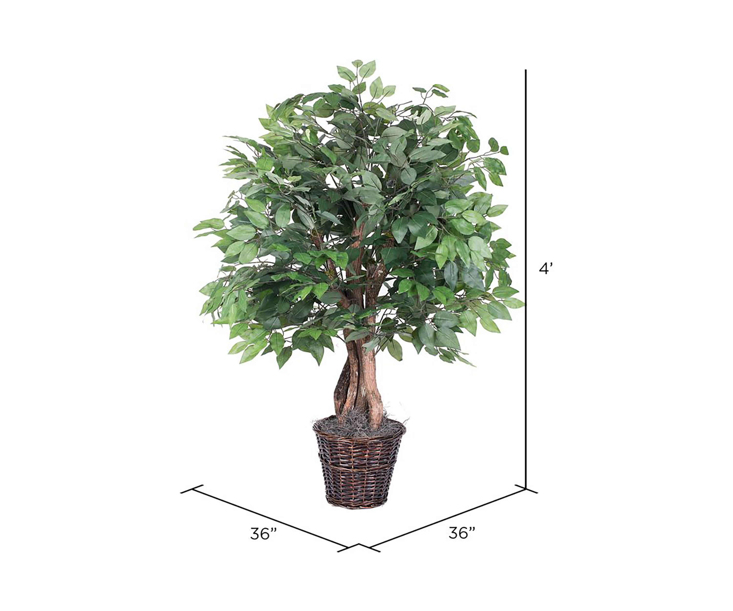Artificial Ficus Extra Full Bush, Rattan Basket